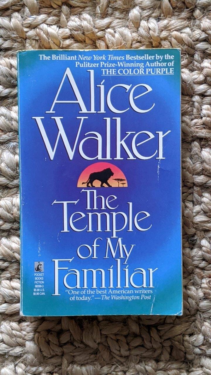 The Temple of My Familiar - Alice Walker