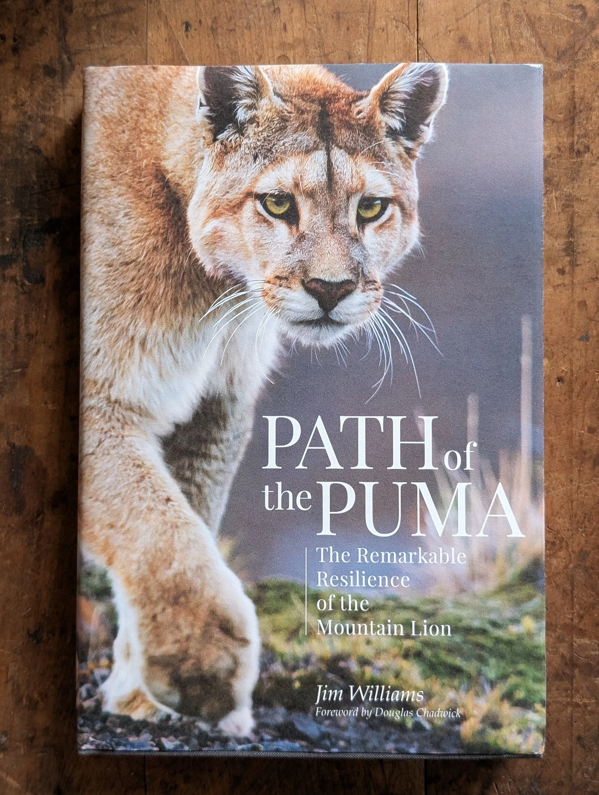 Path of the Puma - Jim Williams