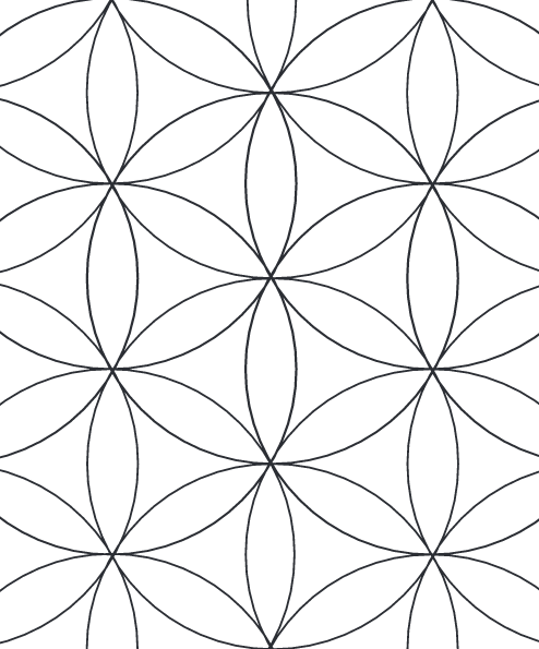 digitally drafted flower of life (2015)