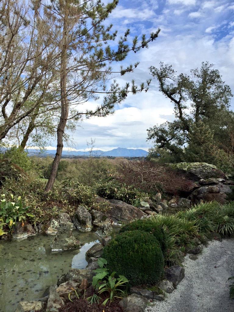 Arista Winery in Healdsburg, CA. December 2014.