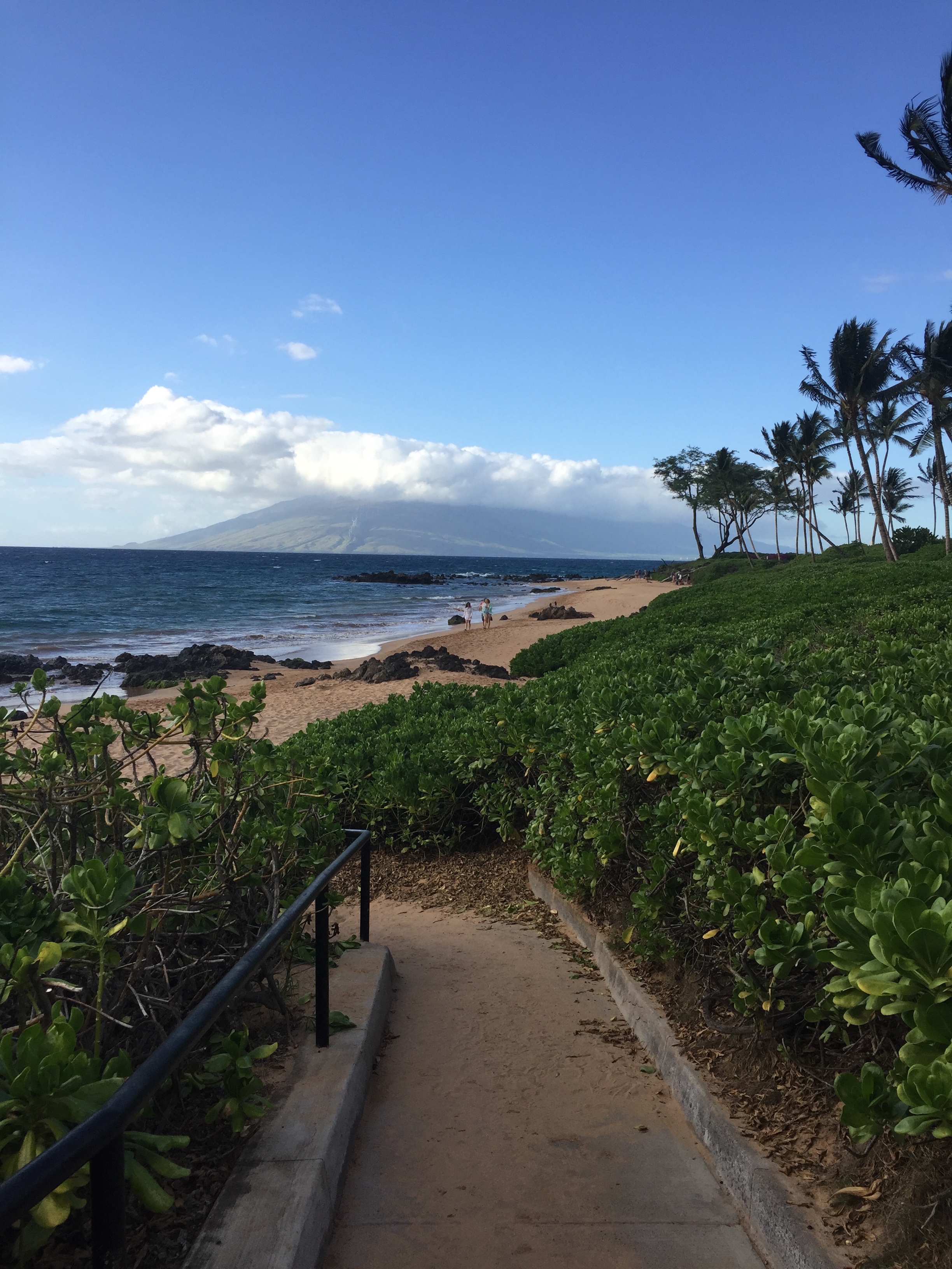 Maui, December 2015.