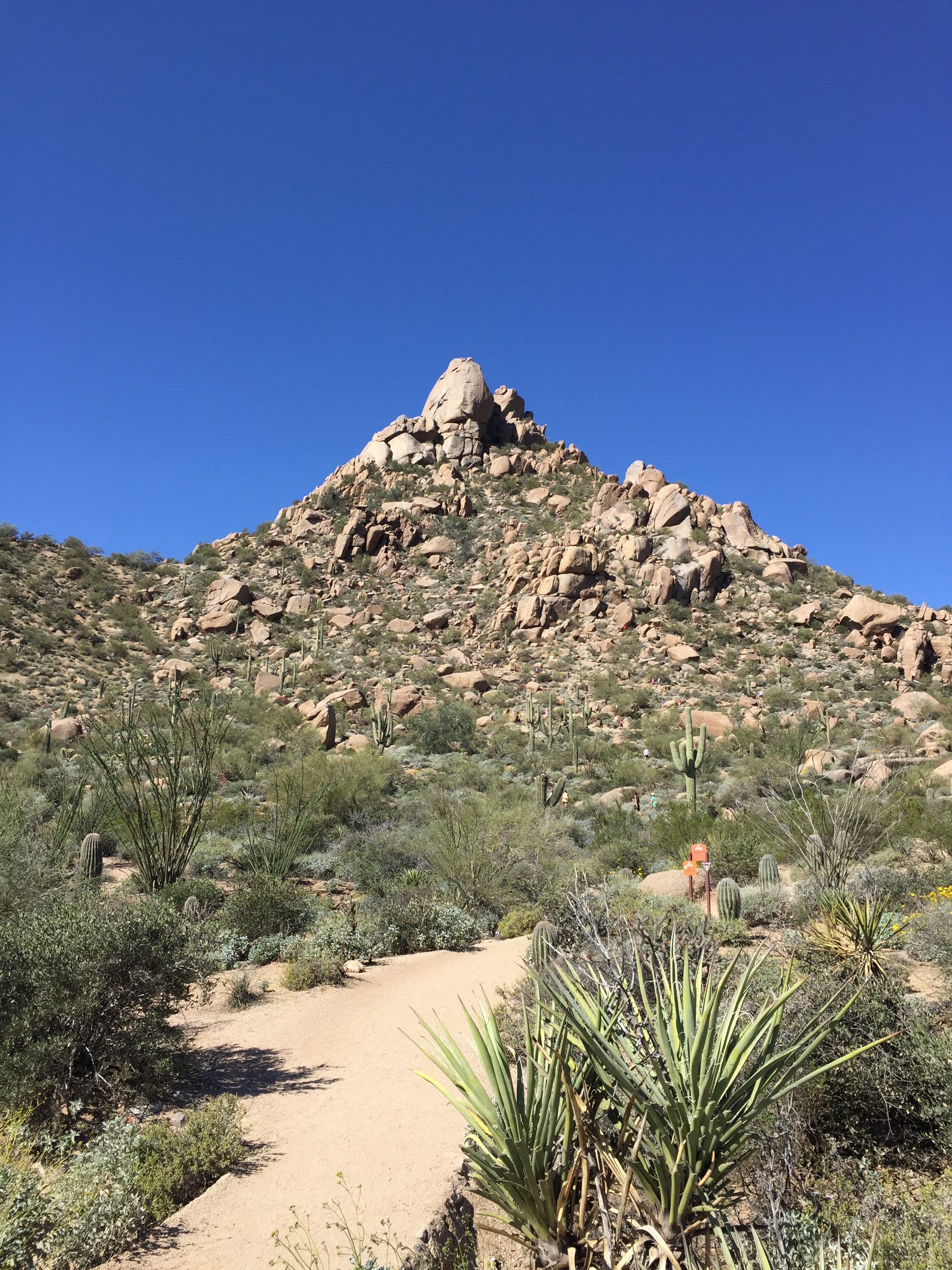 Scottsdale, March 2015.