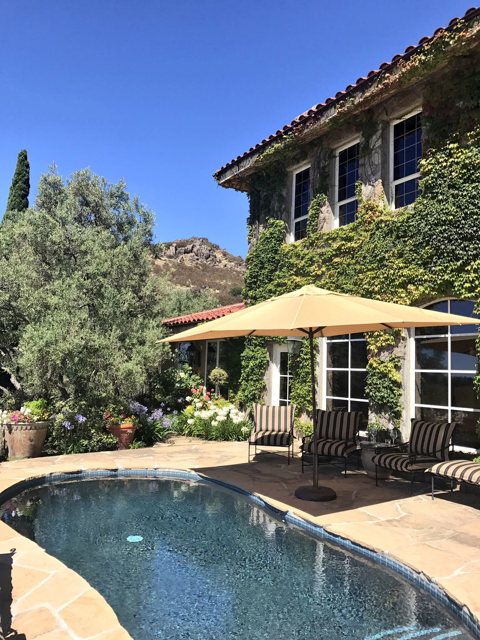 Patland Estate in Napa, July 2017.