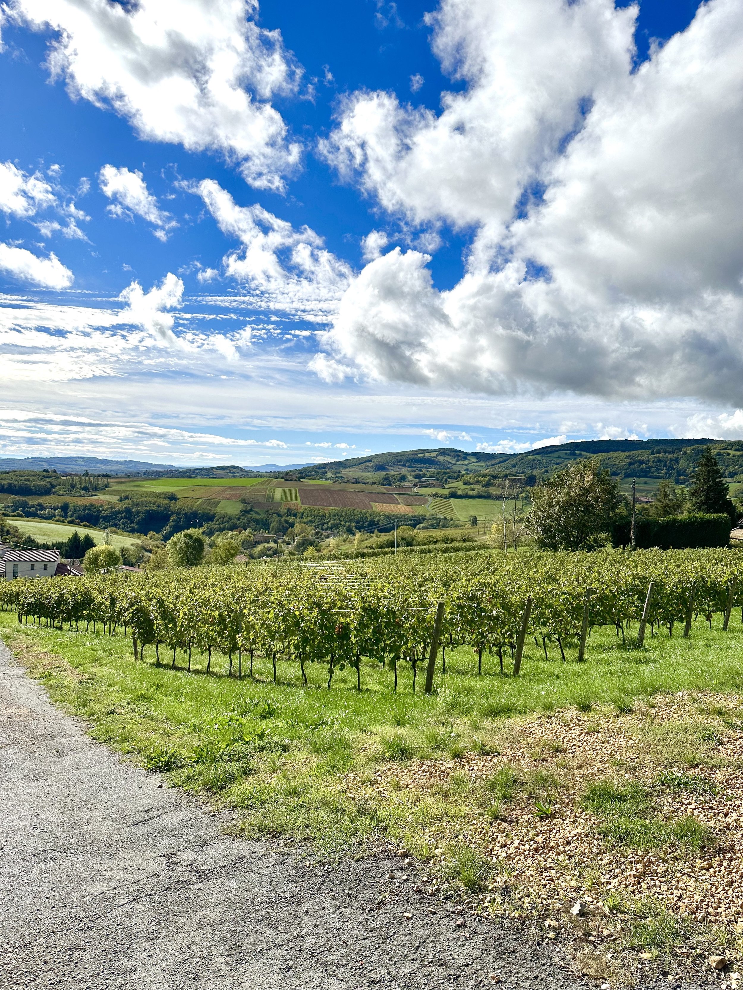 Visiting Domaine Fond Moiroux in Beaujolais, France. October 2022.