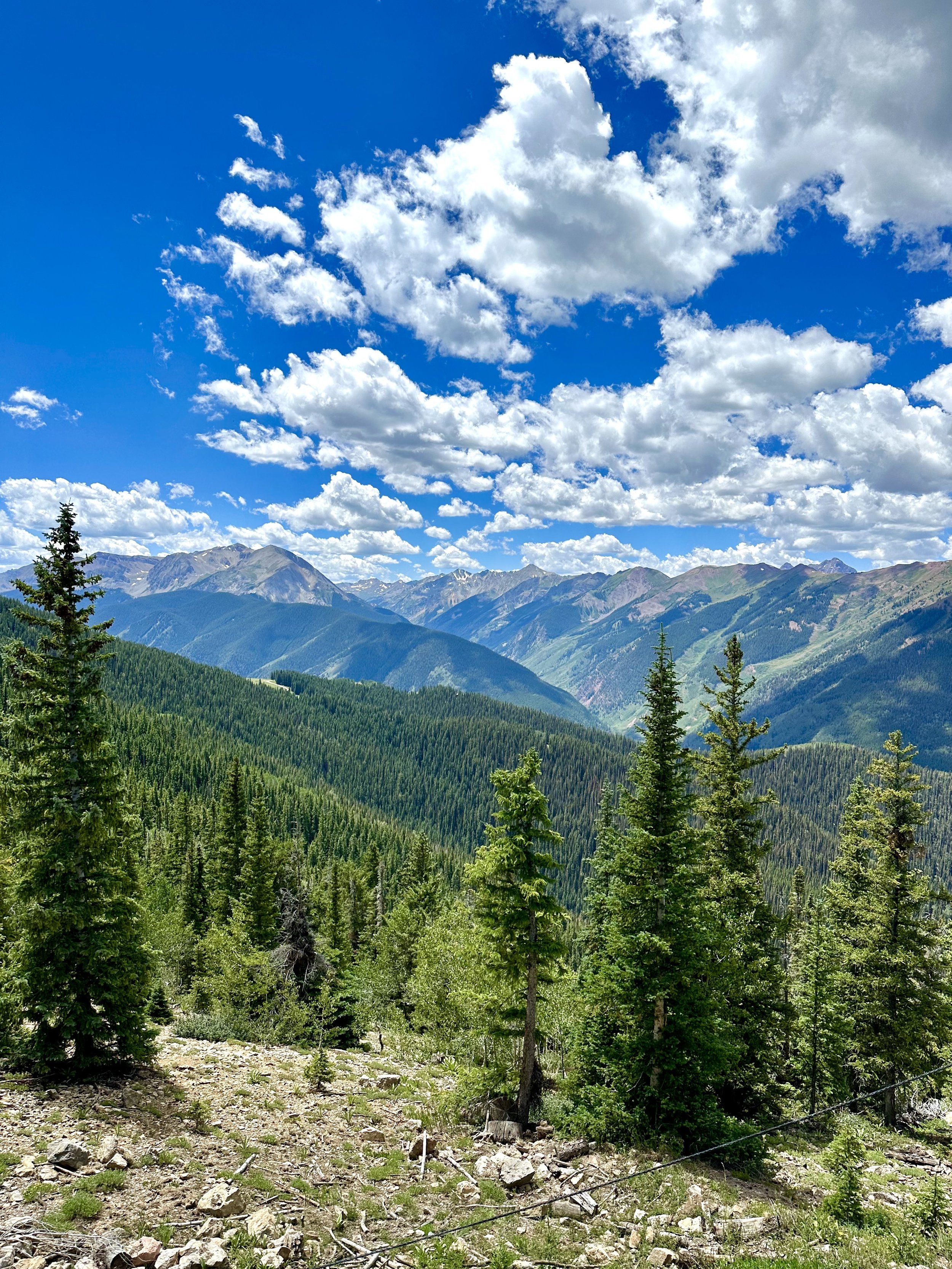 Aspen, August 2023.