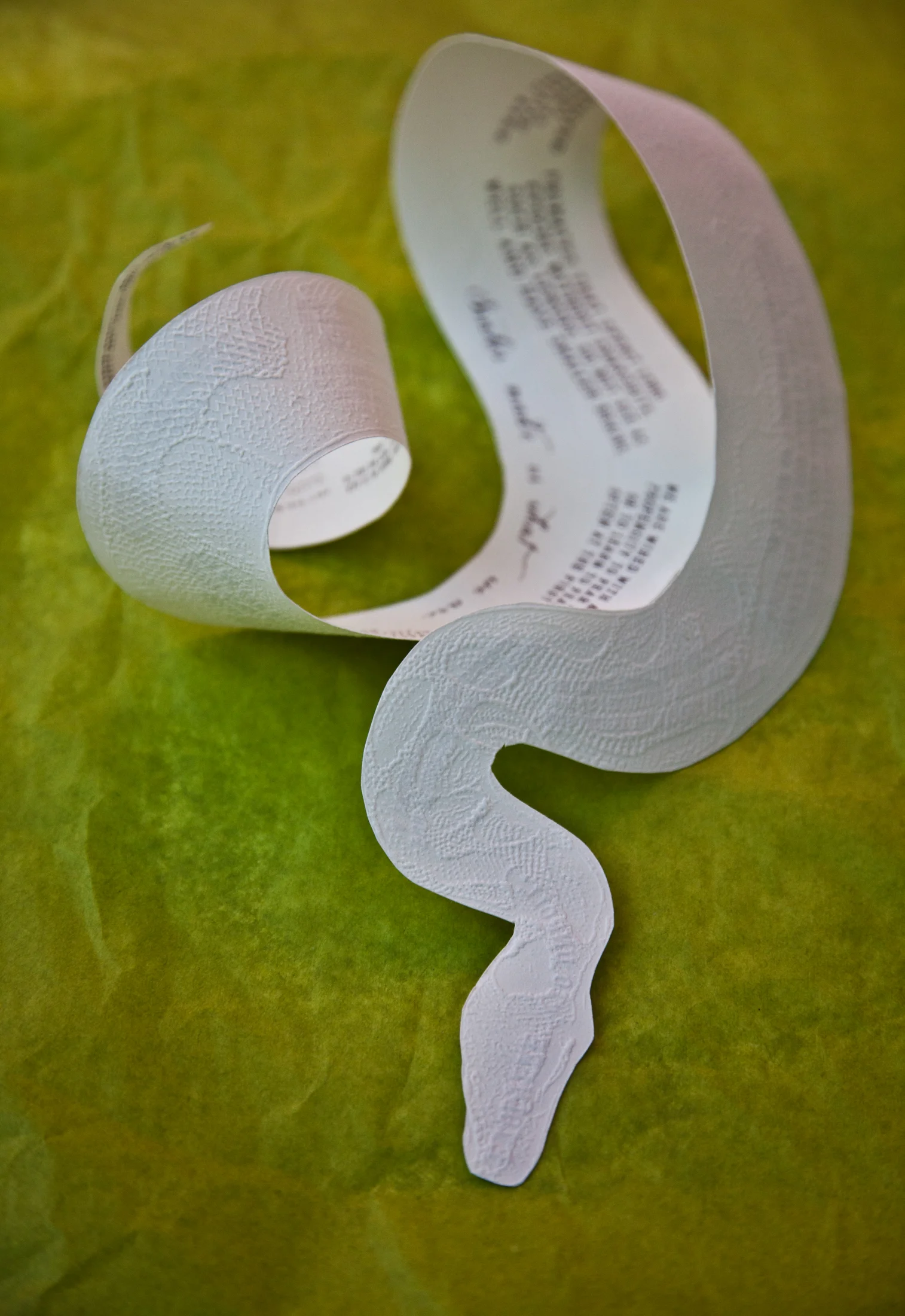 snake_IMG_0967.jpg