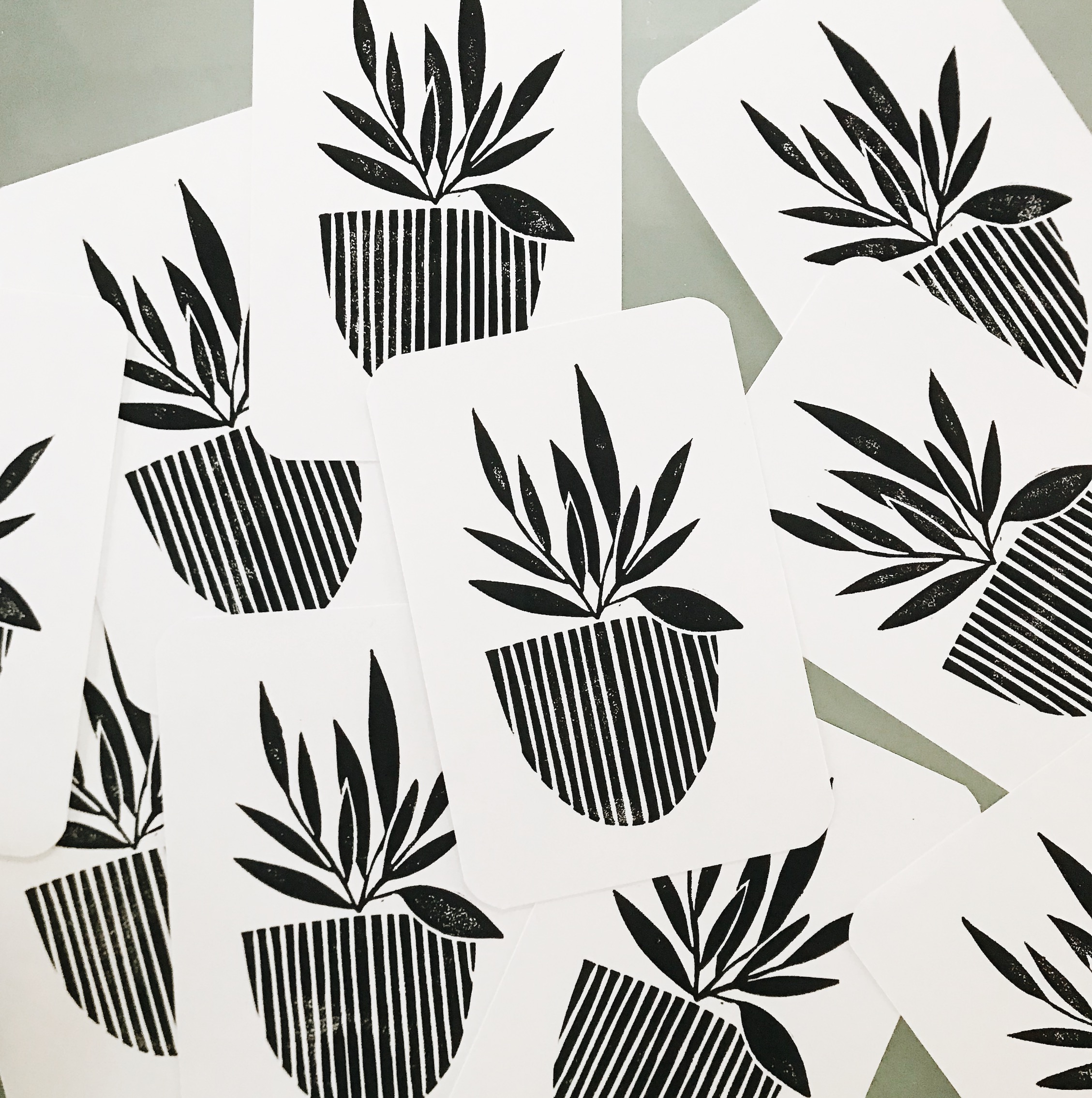 black plant.jpeg