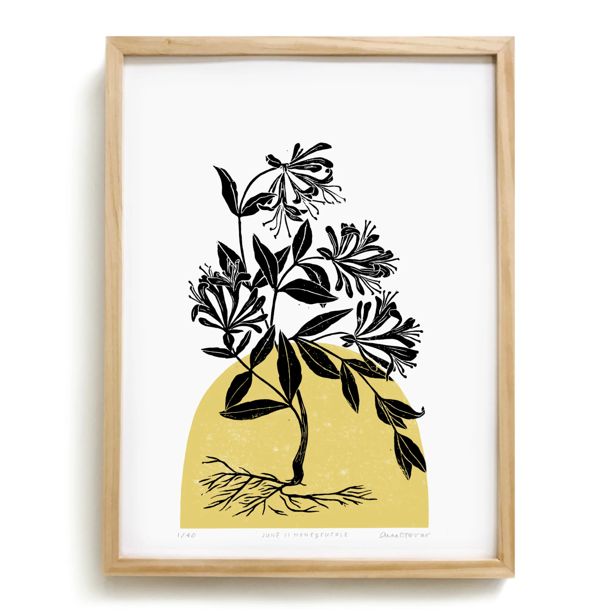 June Flower of the Month | The Honeysuckle