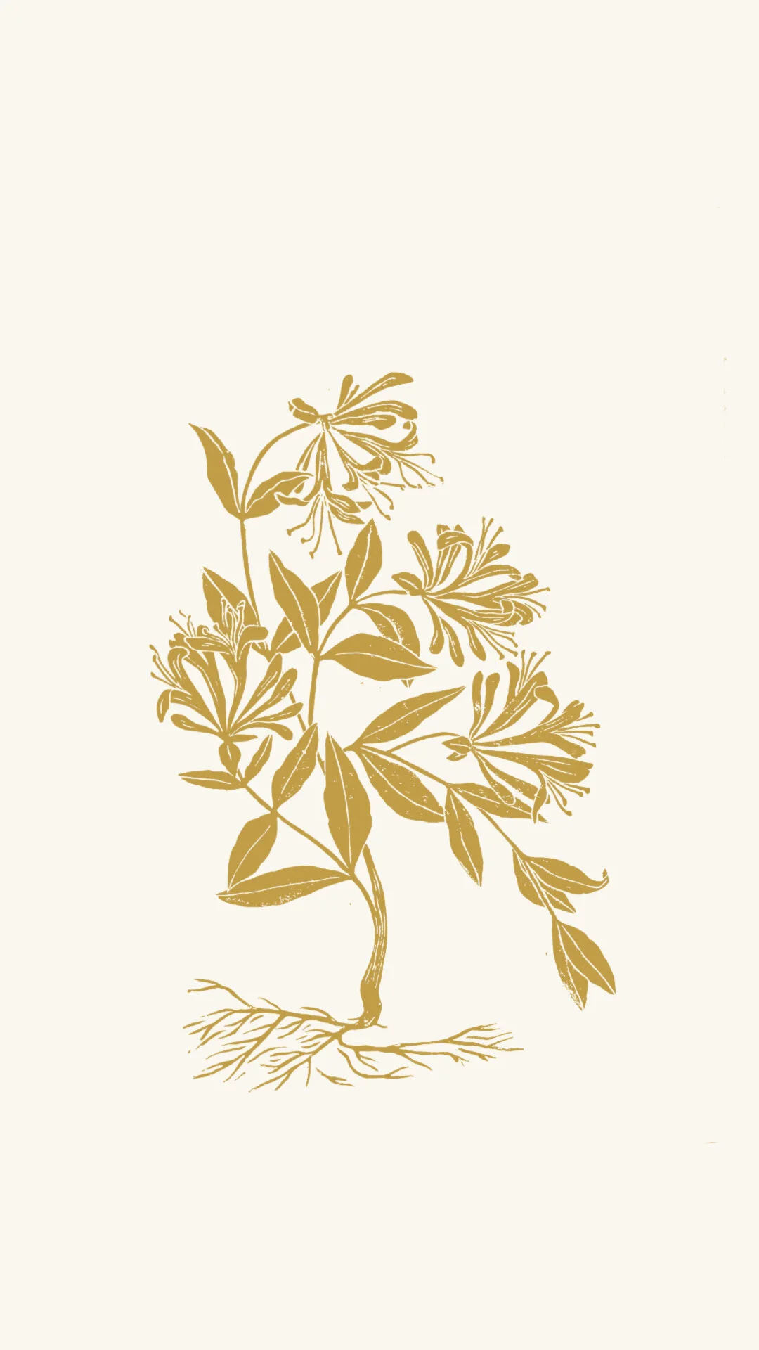 Monthly Free Wallpapers : March 2020