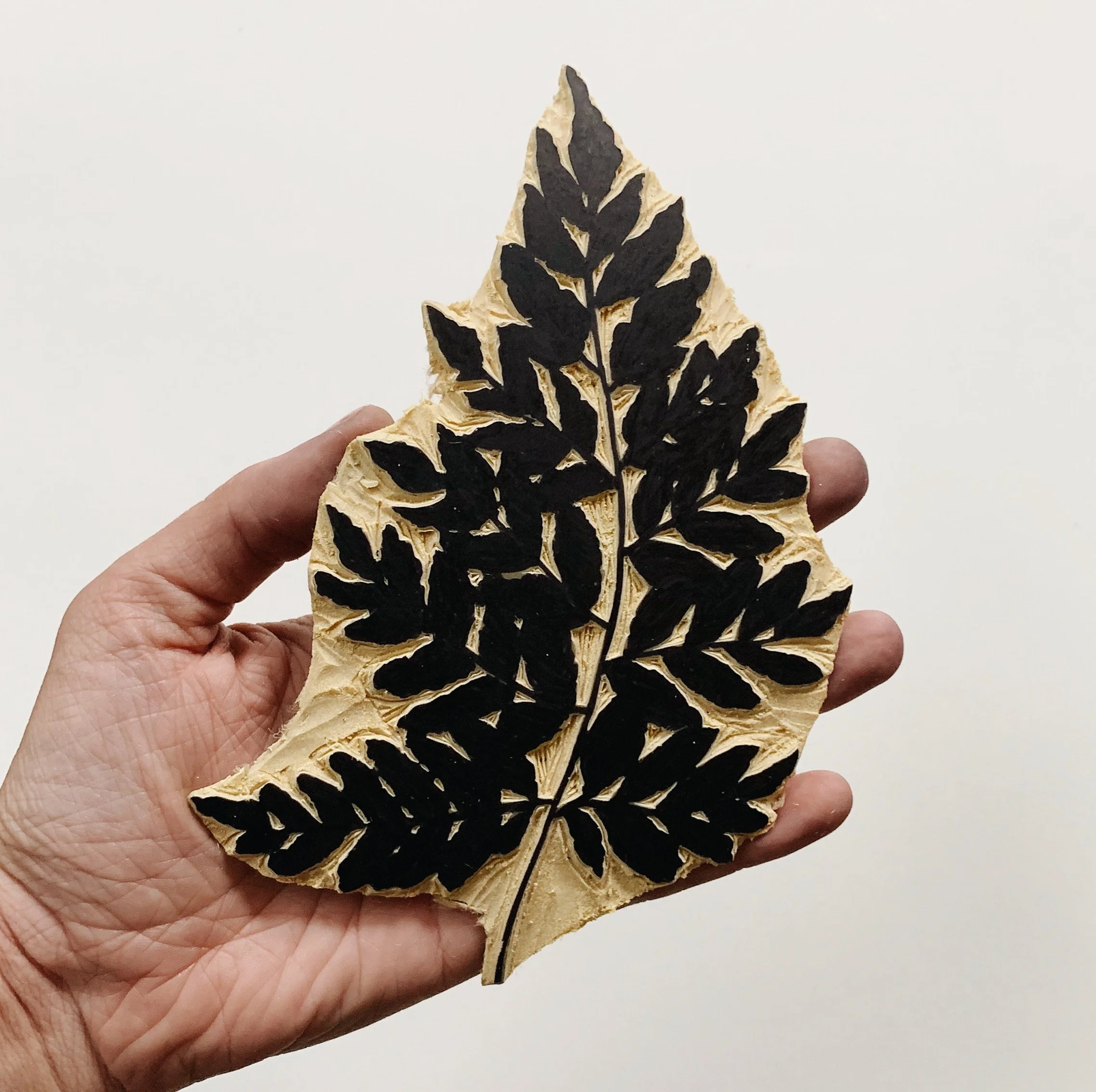 Fern Carved.jpeg
