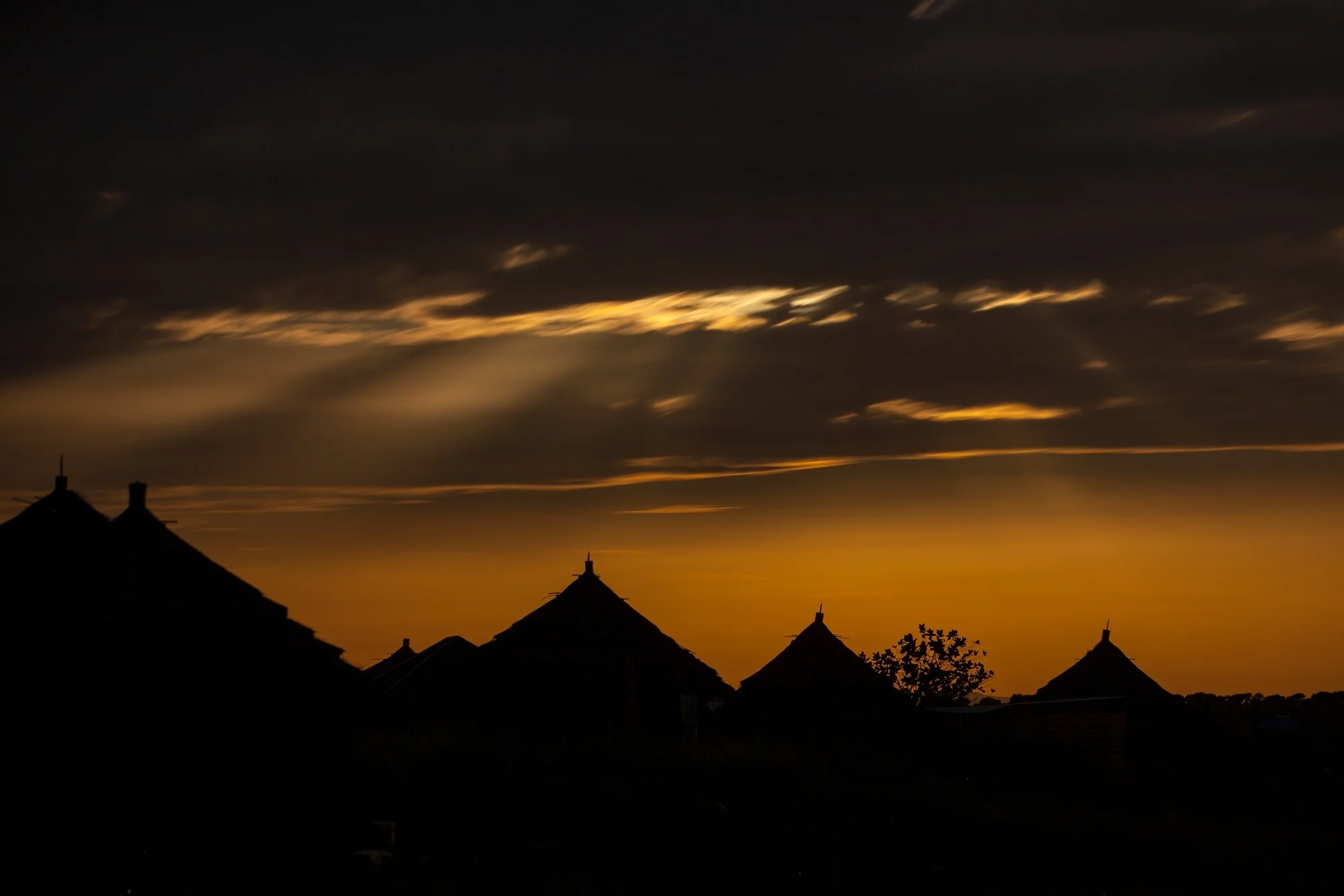ARS_SEEDEFFECT_140813_9697.jpg