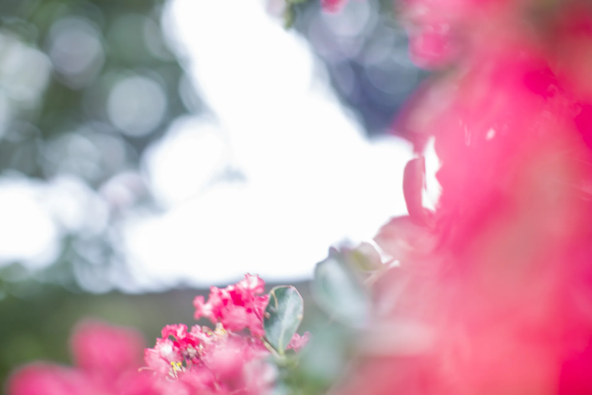 ARS_ABSTRACT_150708_0246.jpg