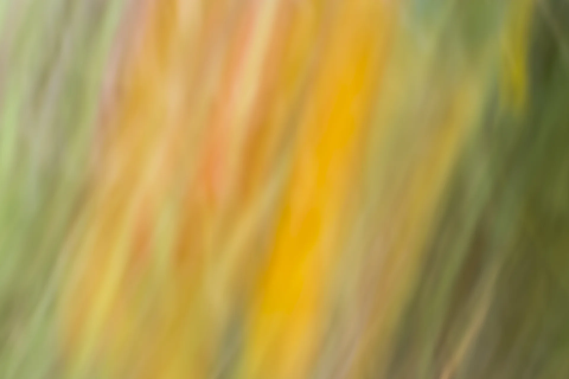 ARS_ABSTRACT_150708_0279.jpg
