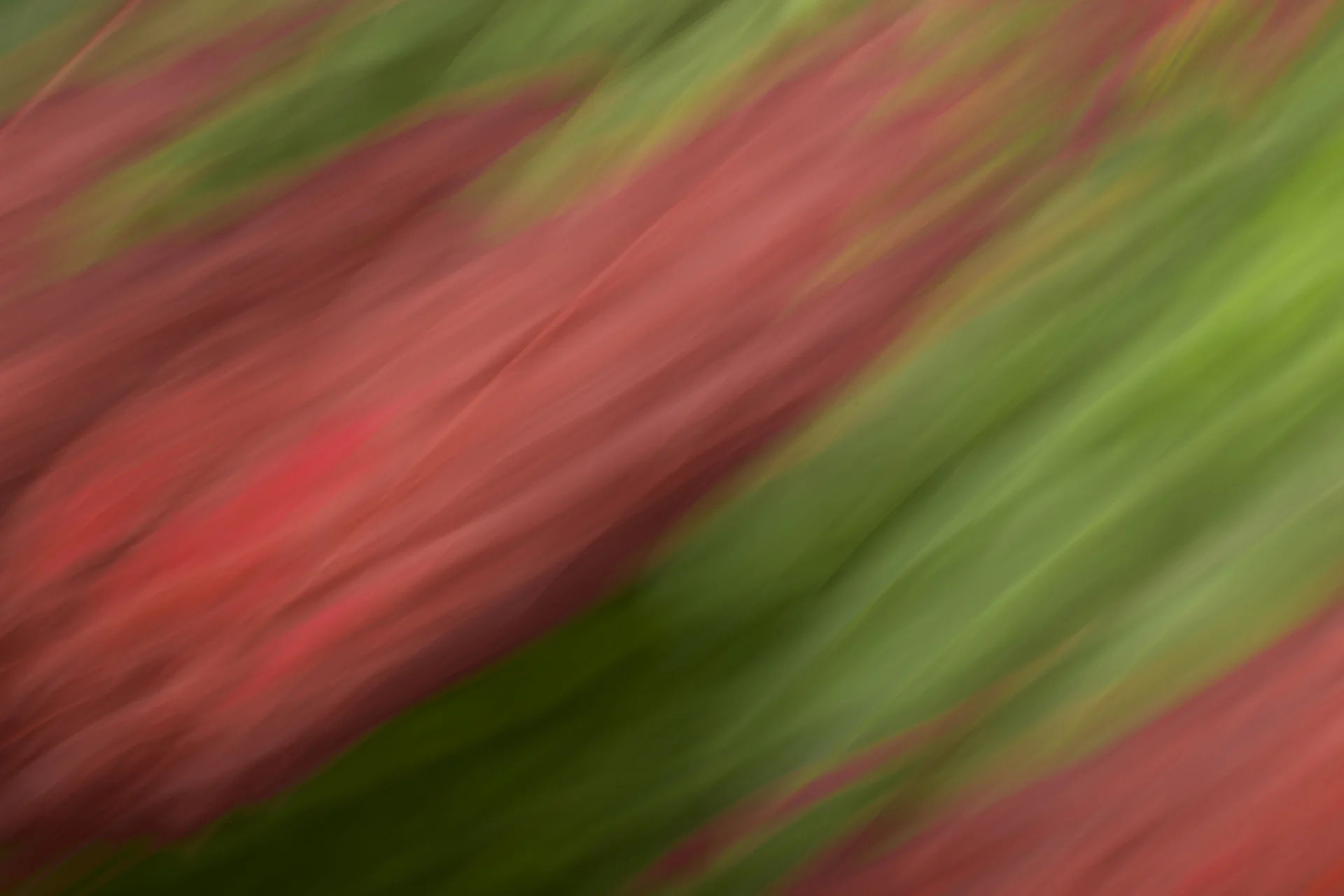 ARS_ABSTRACT_150708_0291.jpg