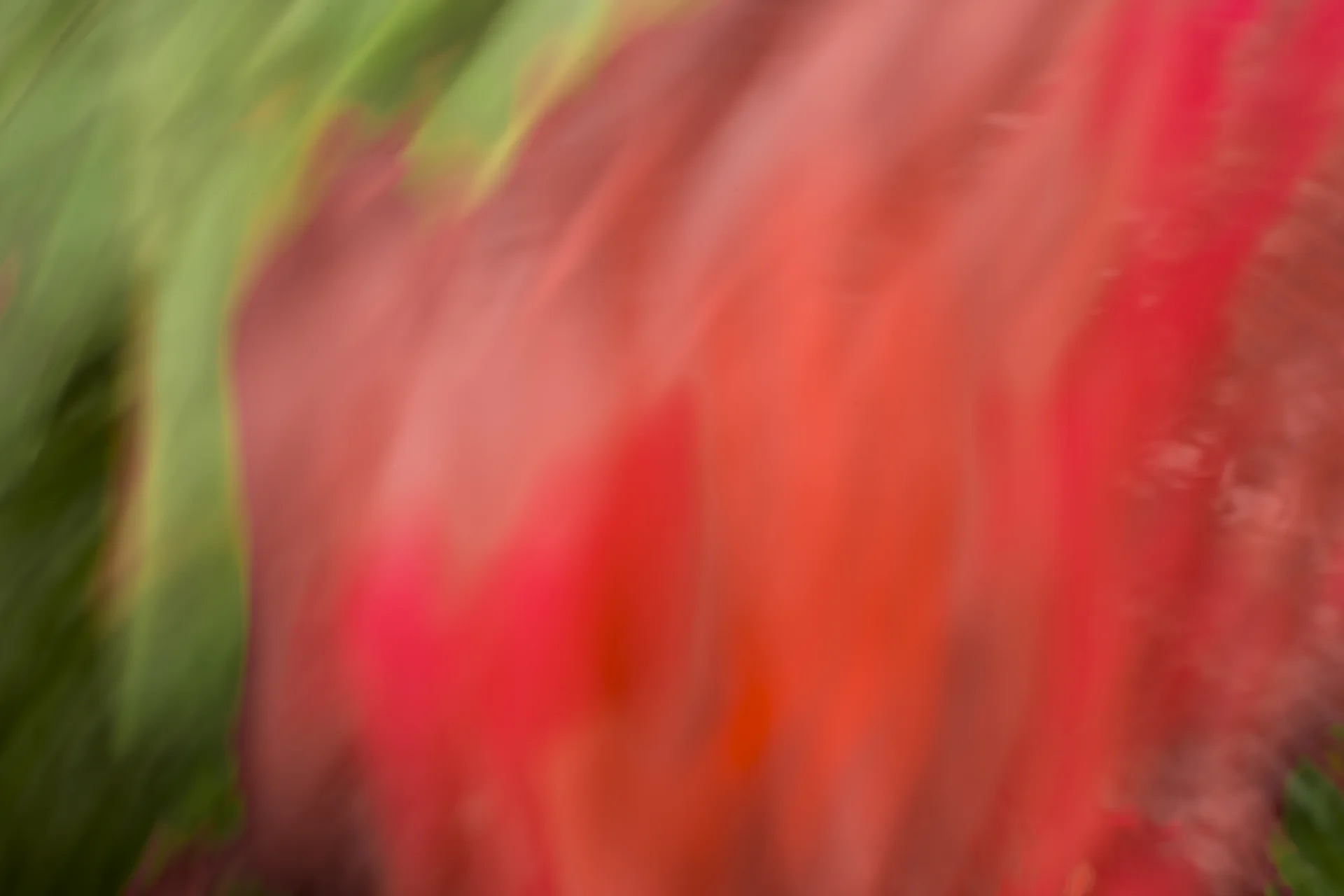 ARS_ABSTRACT_150708_0297.jpg
