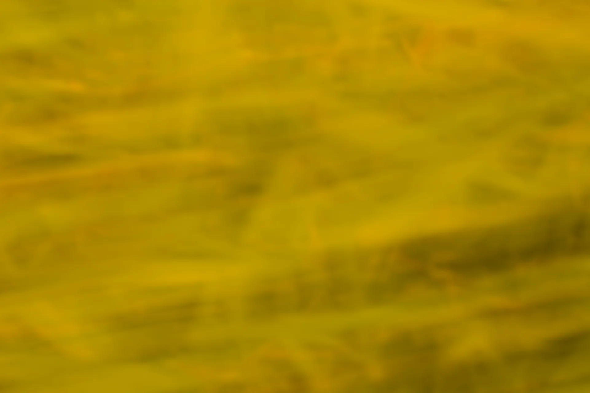 ARS_ABSTRACT_150708_0300.jpg