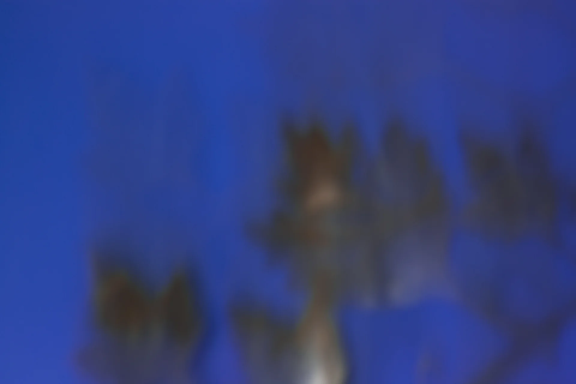 ARS_ABSTRACT_150708_0314.jpg