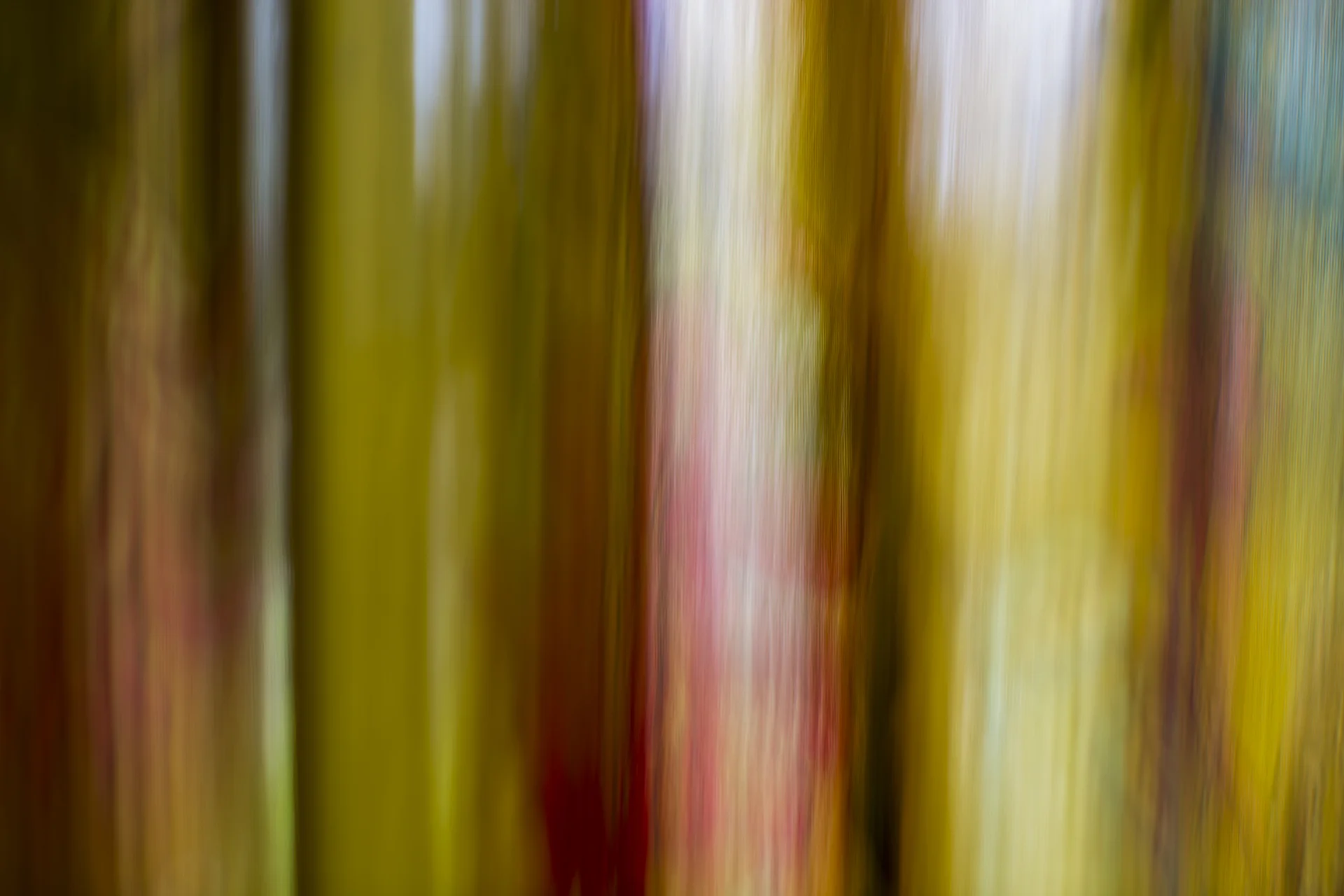 ARS_ABSTRACT_150708_0326.jpg
