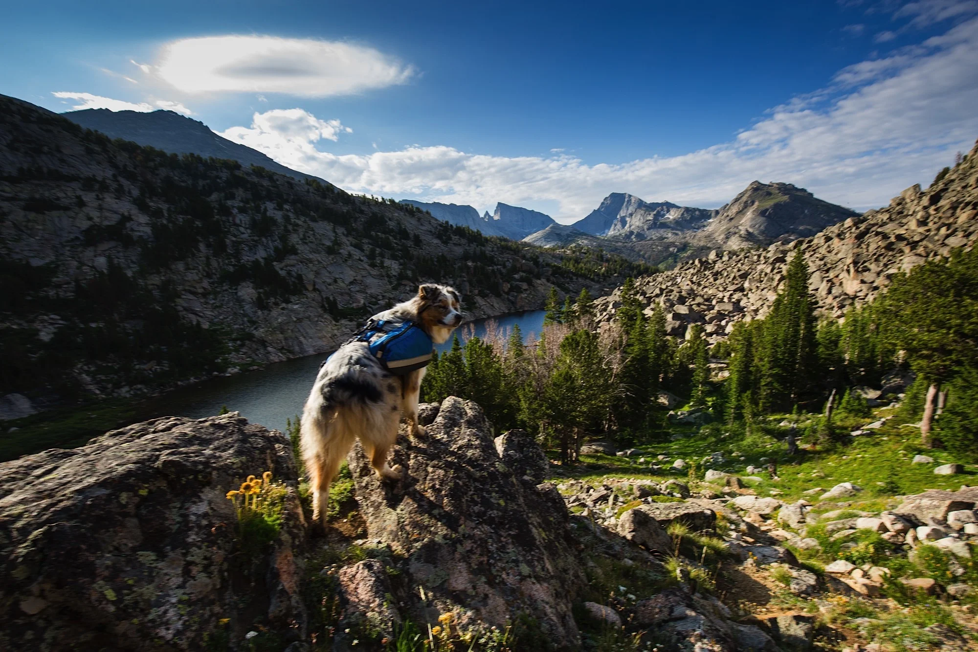 ARS_WY_150715_9585