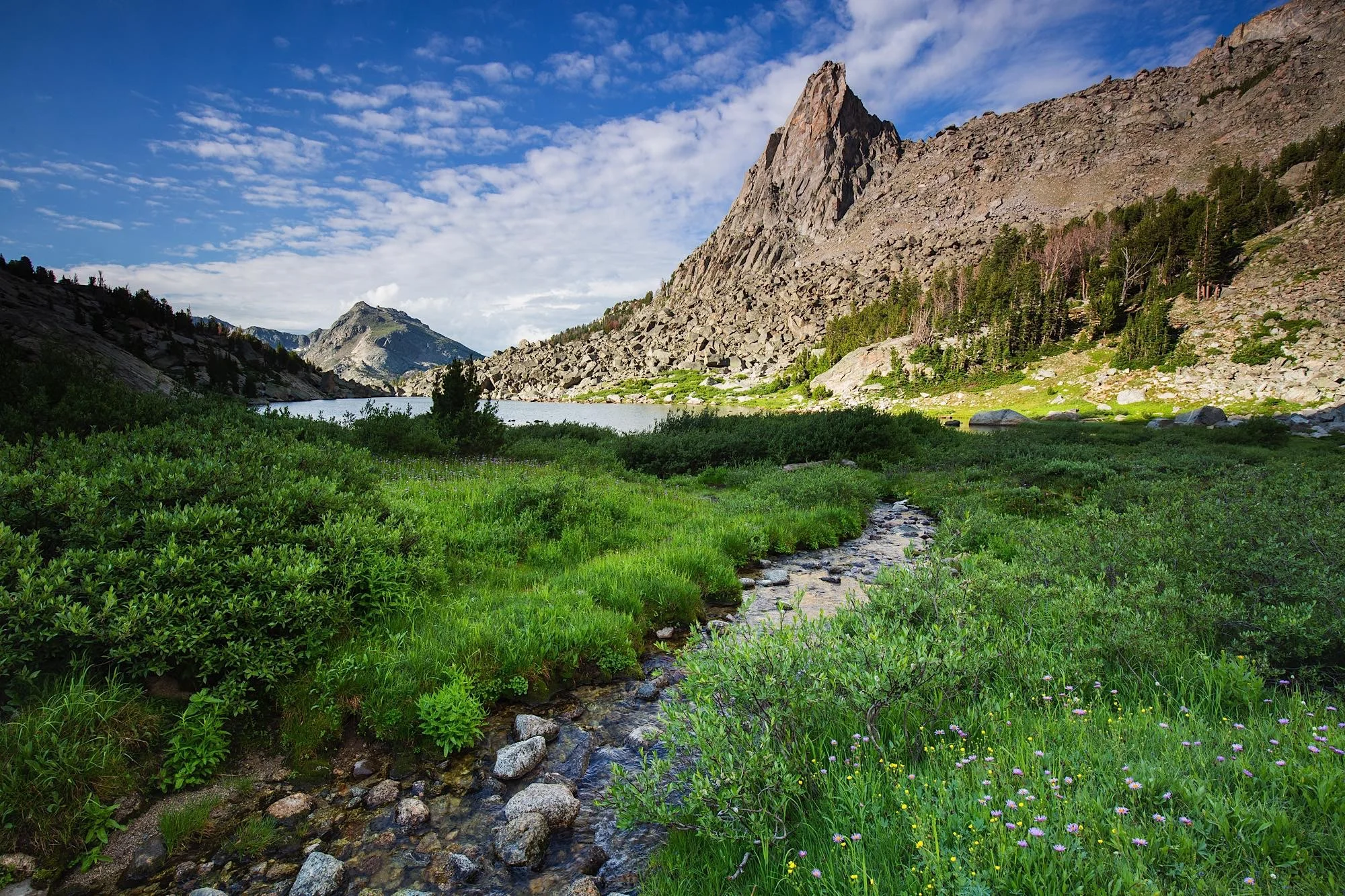 ARS_WY_150715_9600
