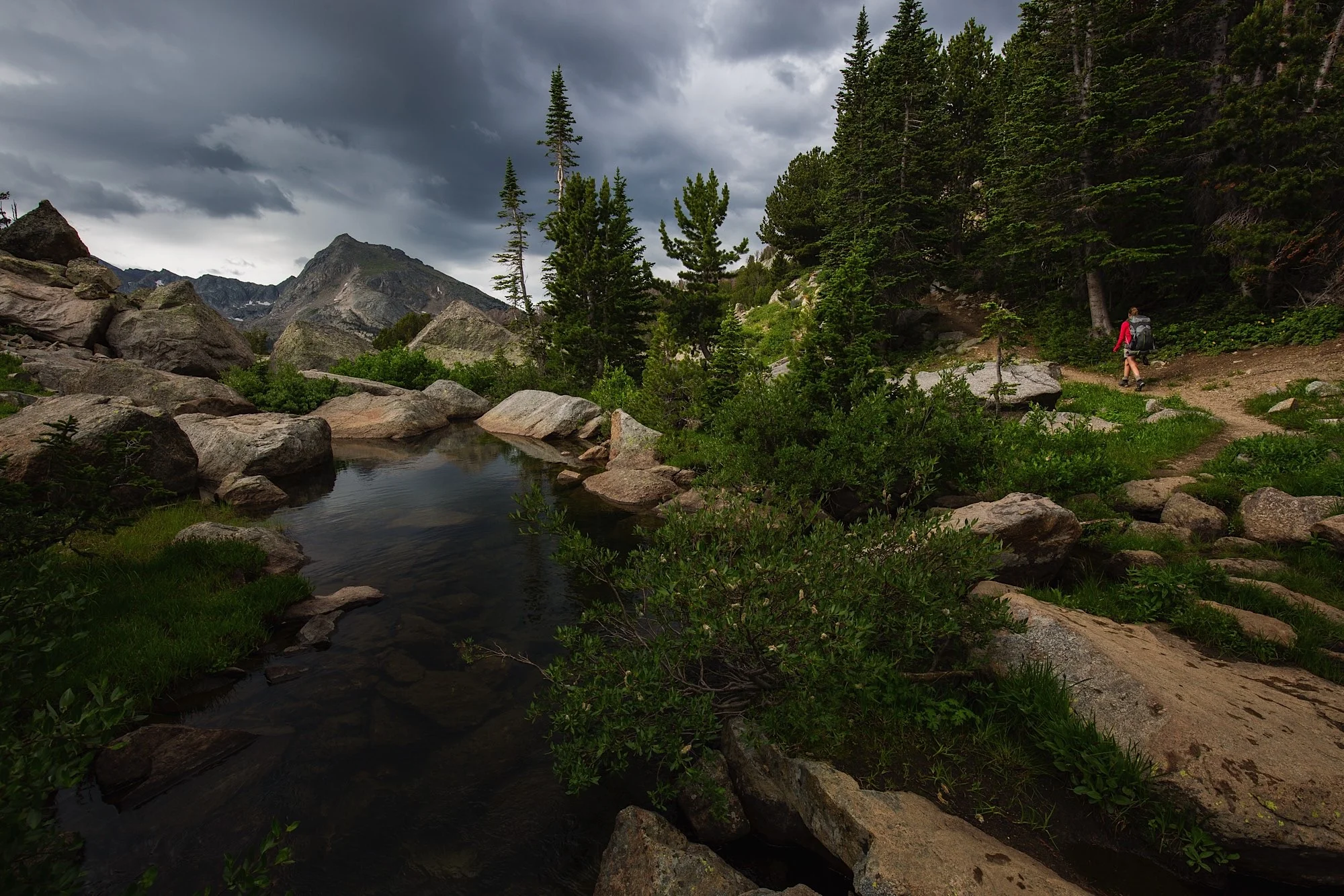 ARS_WY_150715_9650