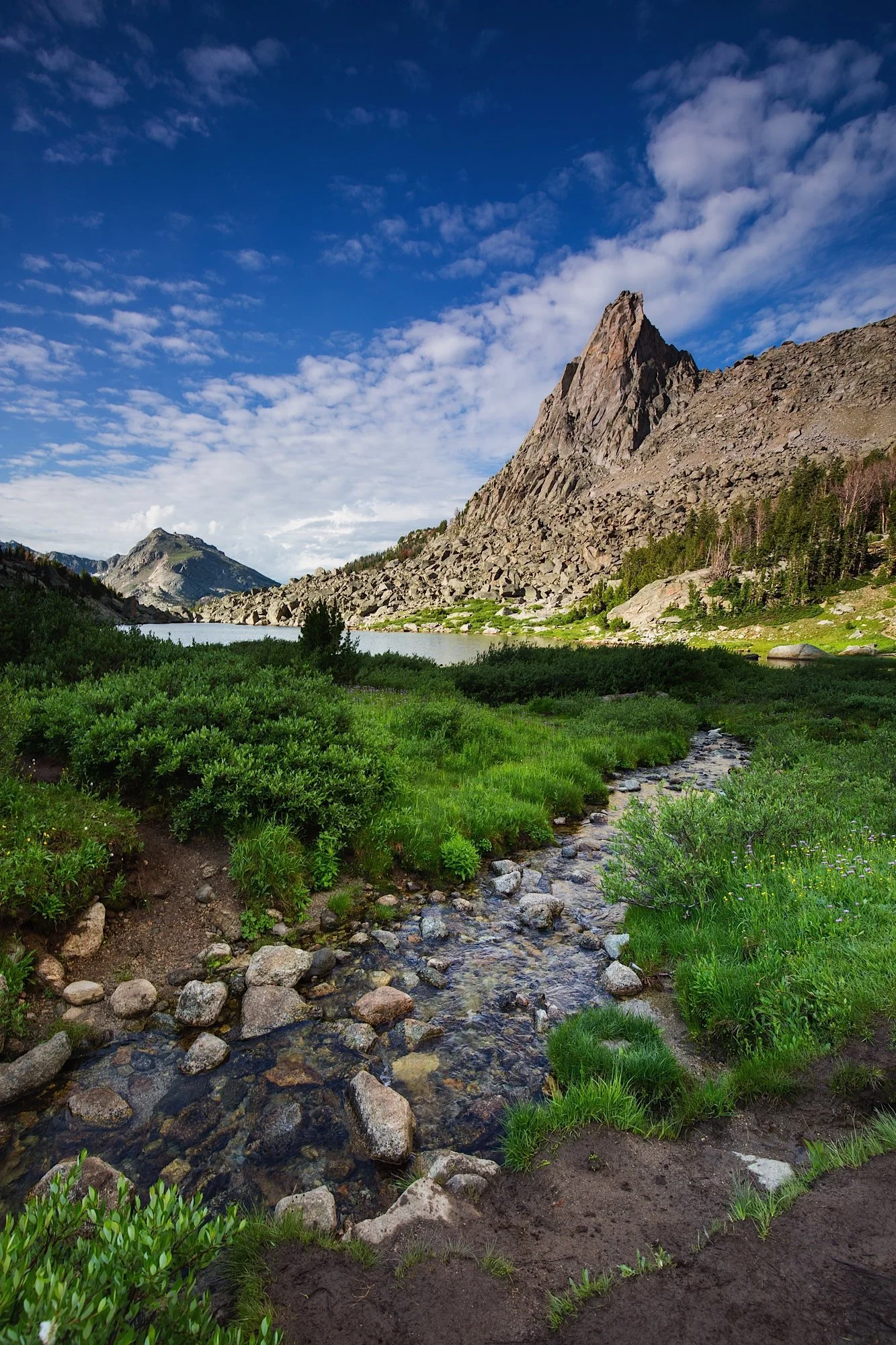 ARS_WY_150715_9615