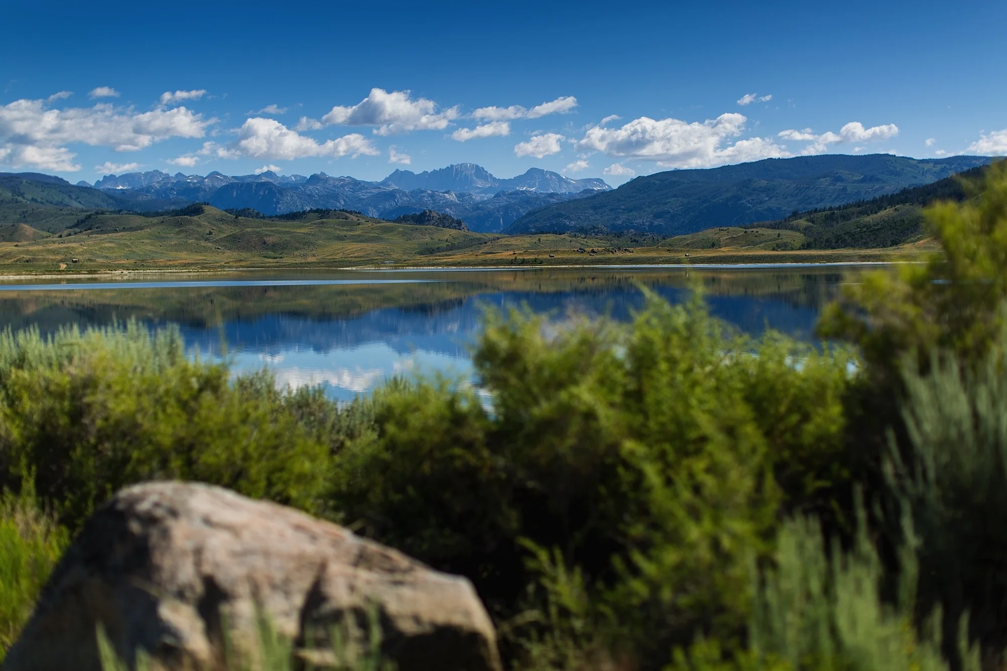 ARS_WY_150716_9814