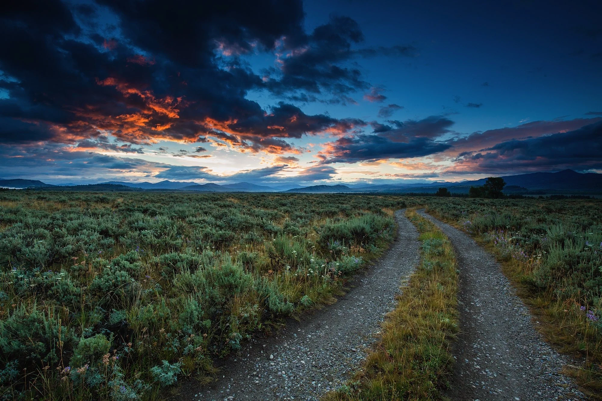 ARS_WY_150723_4189