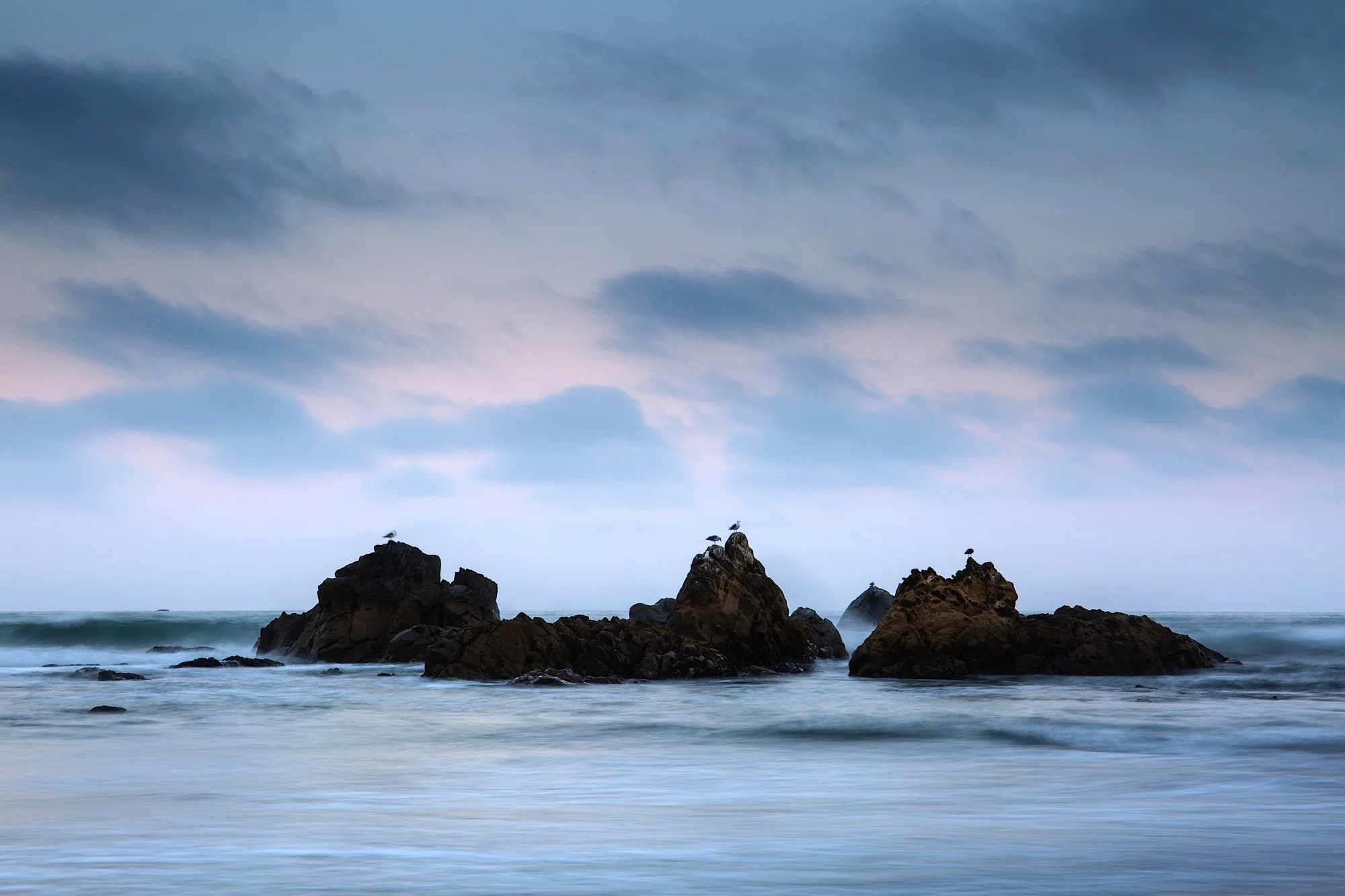 Sea birds and pastels accompany the rocks in the Pacific surf along Del Norte Coast