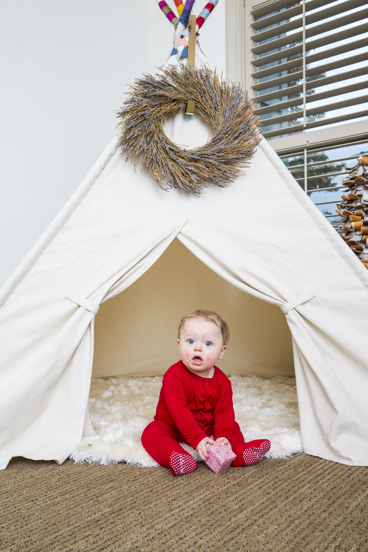 ARS_AMEND_20151130_7621.jpg