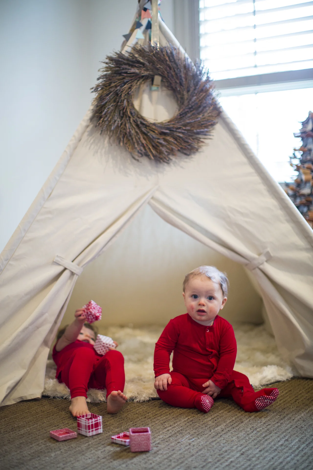 ARS_AMEND_20151130_7677.jpg