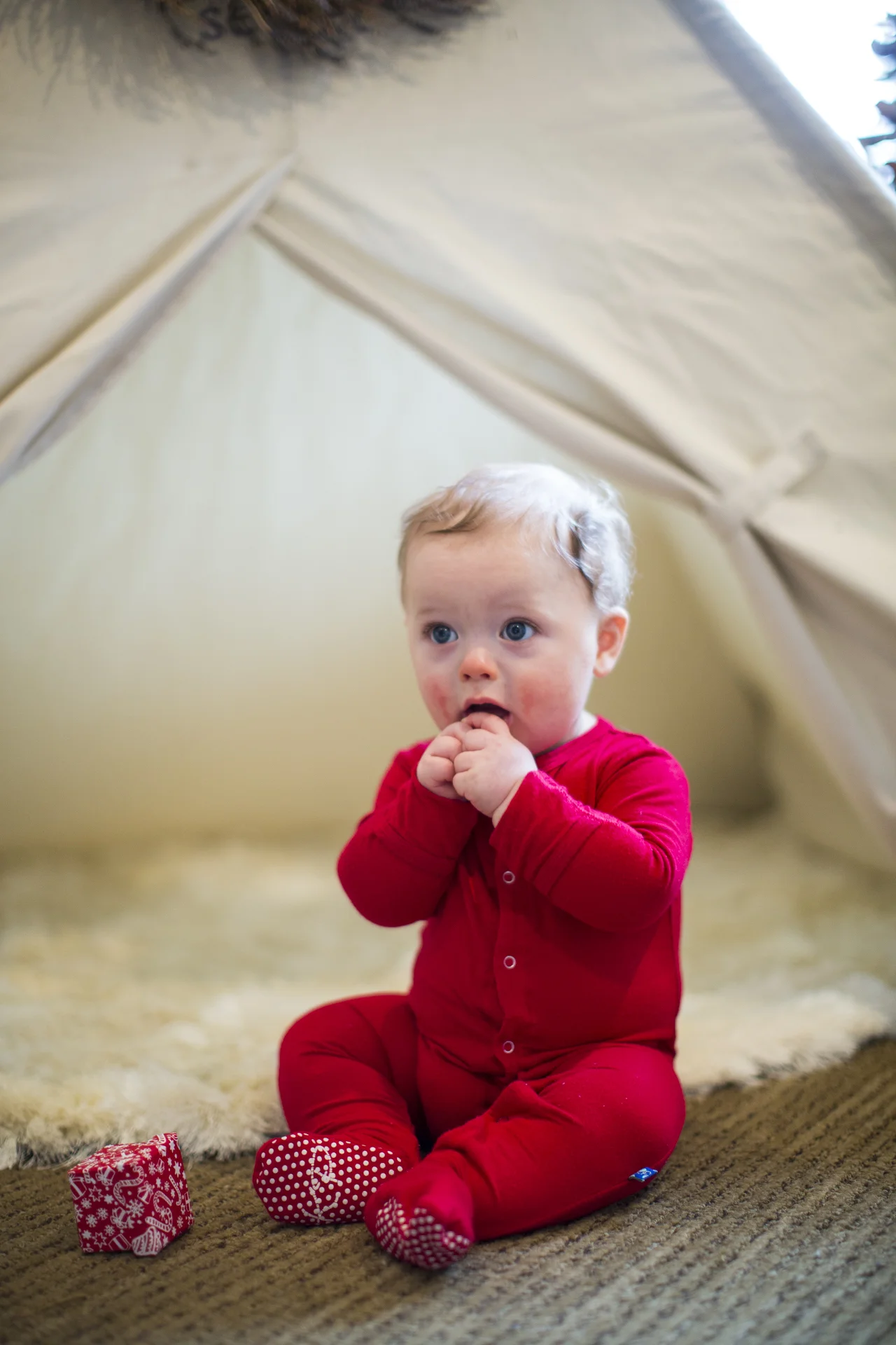 ARS_AMEND_20151130_7731.jpg
