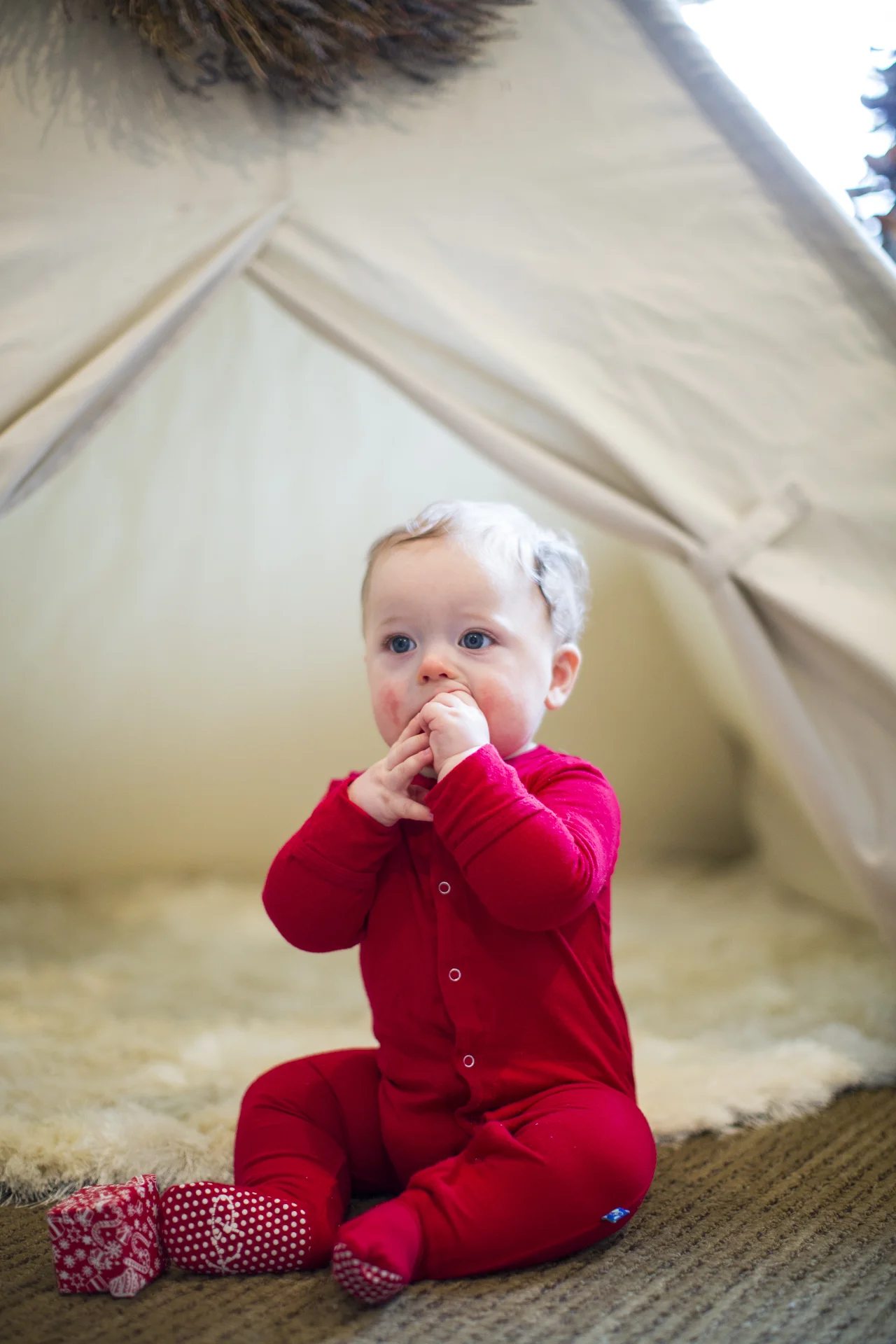 ARS_AMEND_20151130_7733.jpg