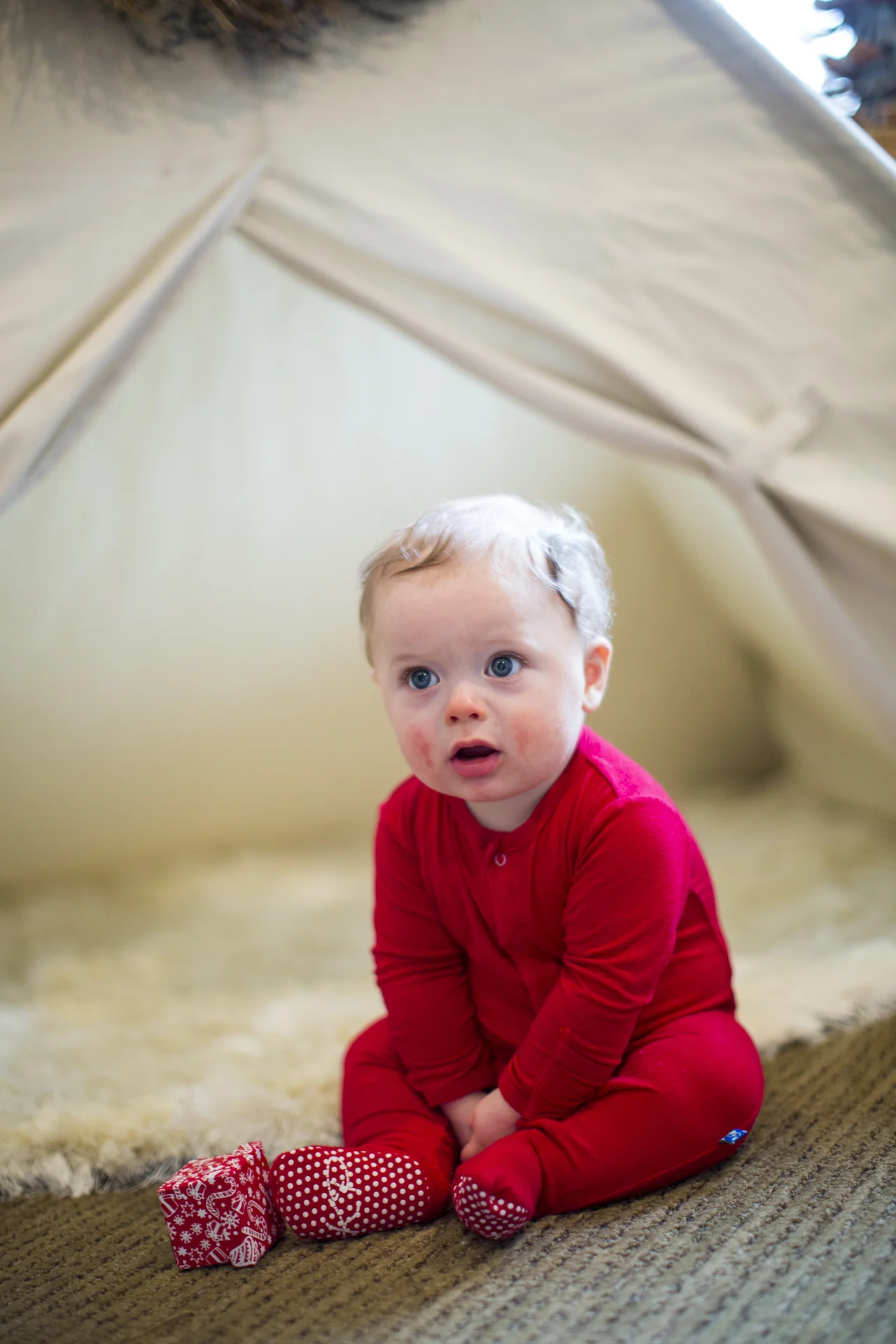 ARS_AMEND_20151130_7734.jpg