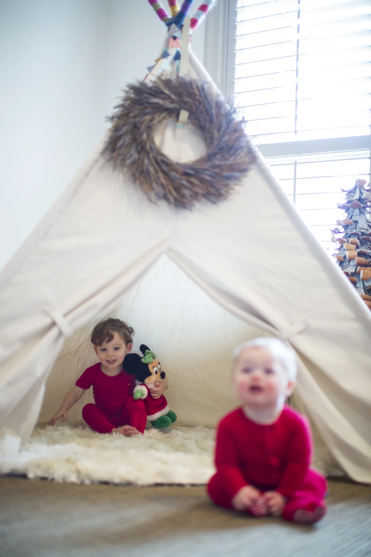 ARS_AMEND_20151130_7837.jpg