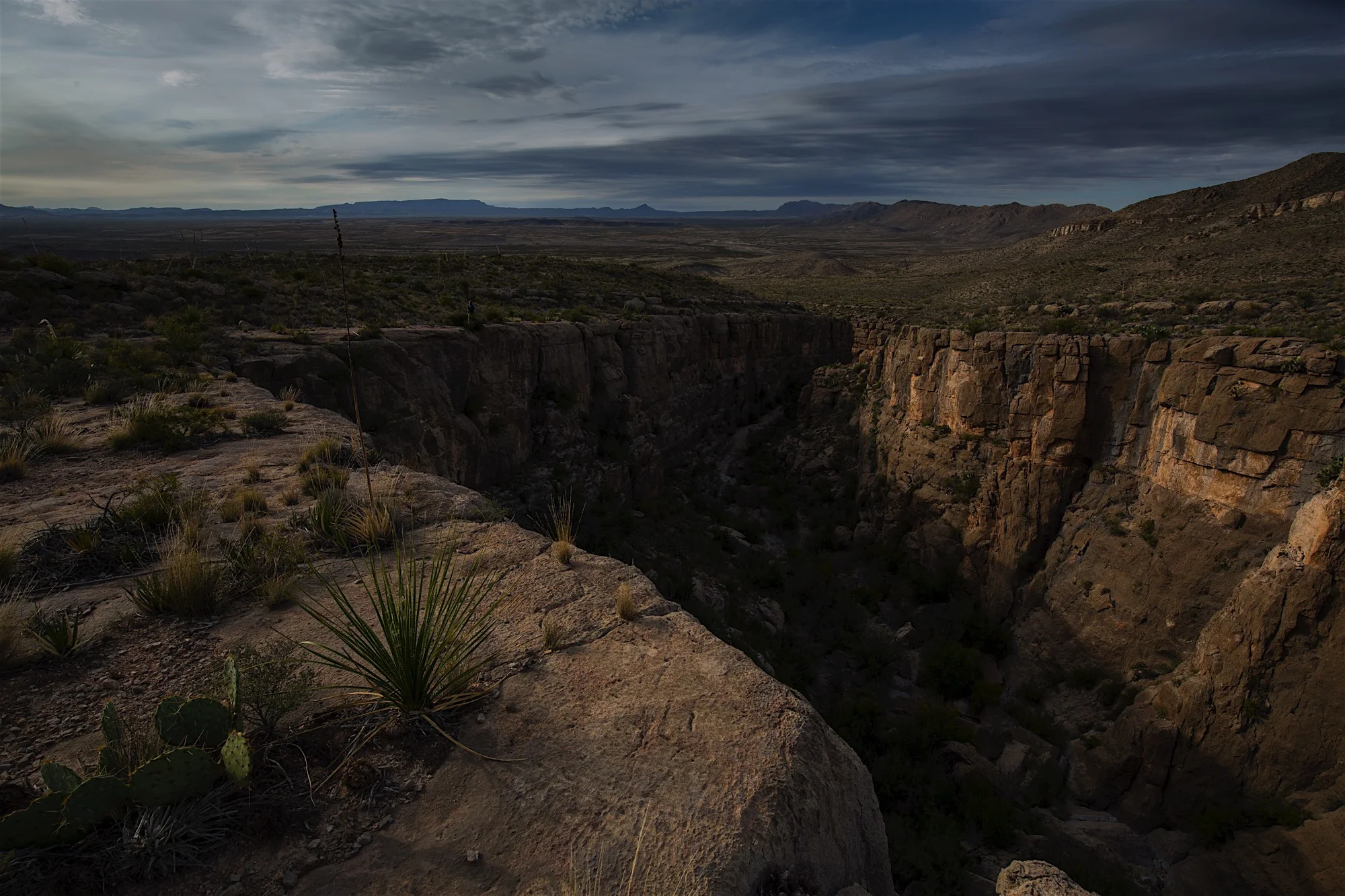 ARS_BBNP_20151112_9457.jpg