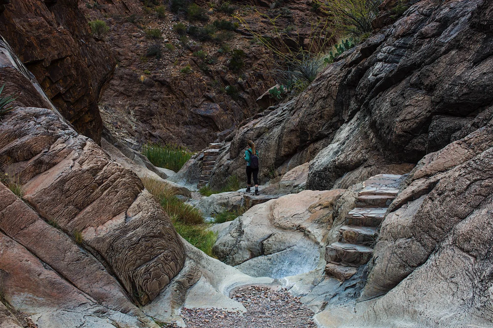 ARS_BBNP_20151113_0176.jpg