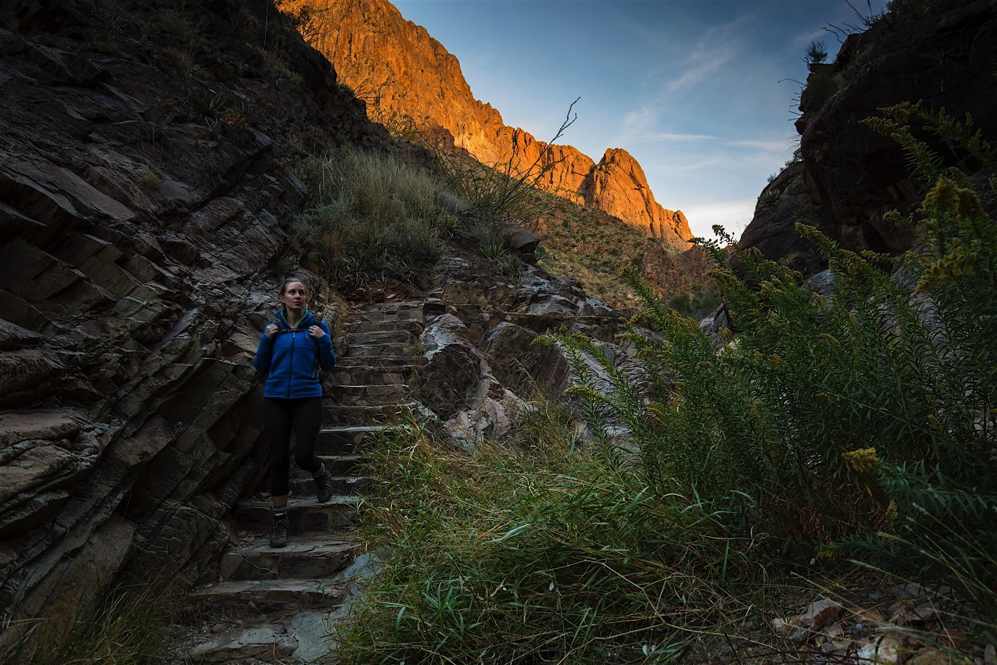 ARS_BBNP_20151113_0247.jpg