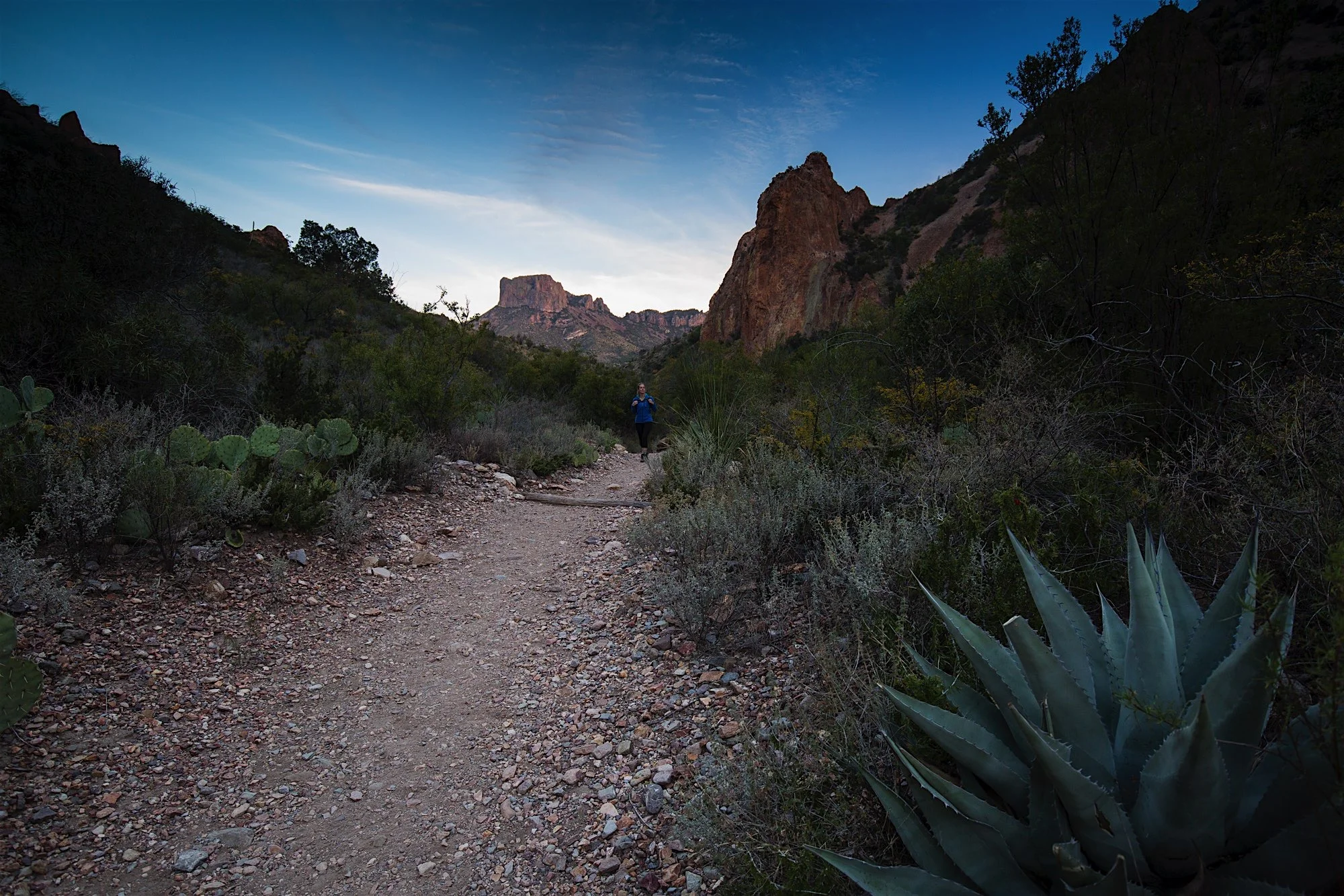 ARS_BBNP_20151113_0288.jpg