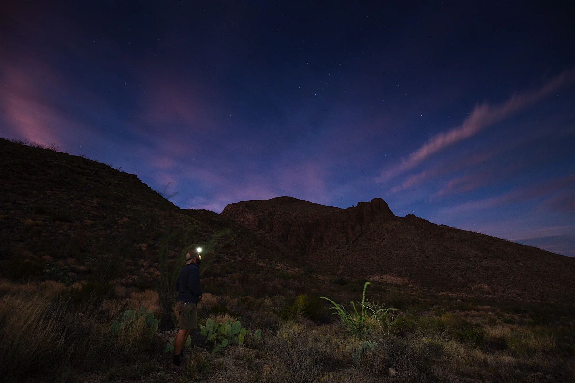 ARS_BBNP_20151116_2047.jpg