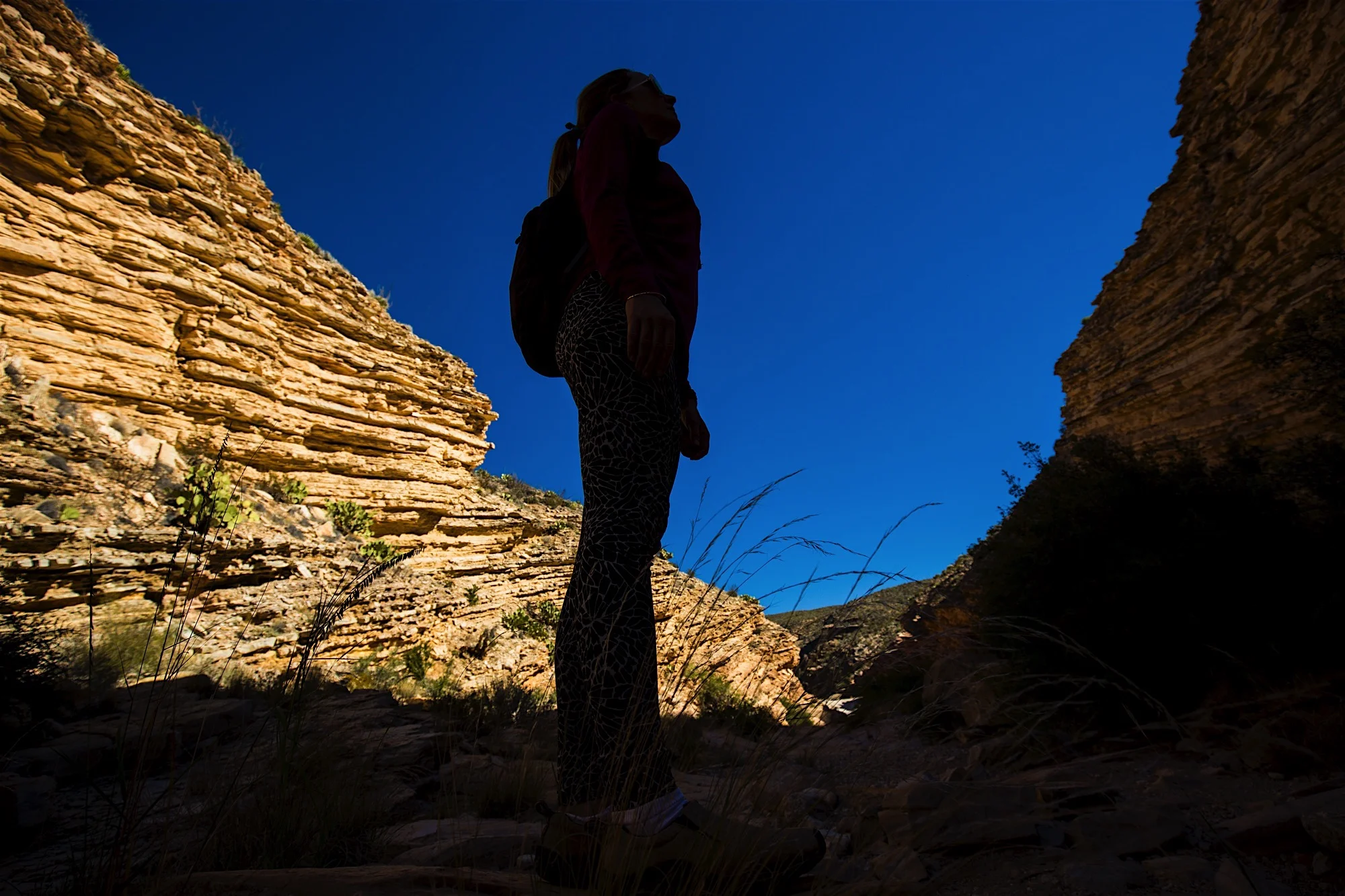 ARS_BBNP_20151118_3558.jpg
