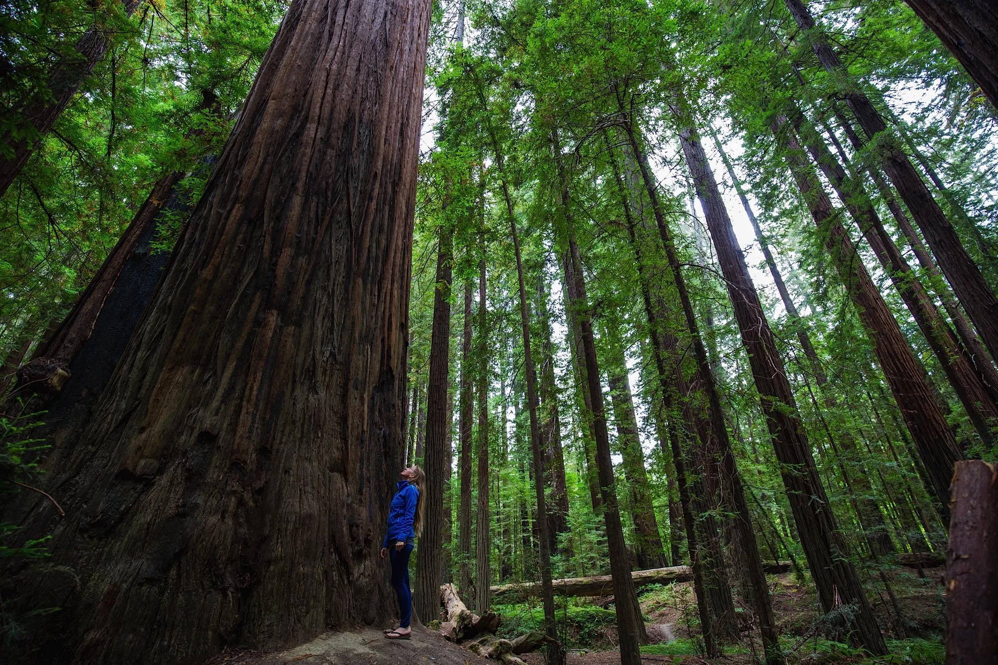 ARS_PNW_150820_7721