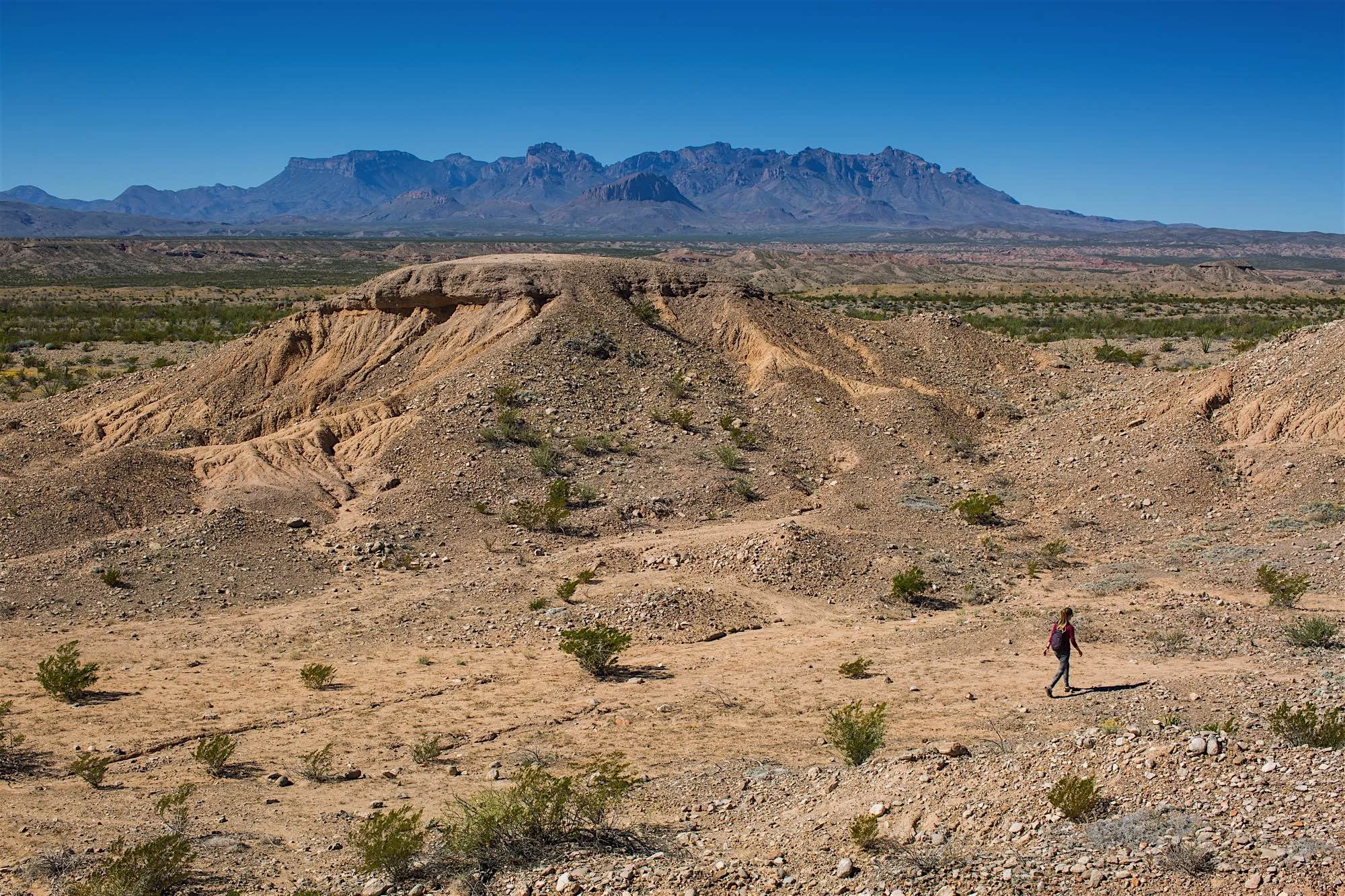 ARS_BBNP_20151118_3697