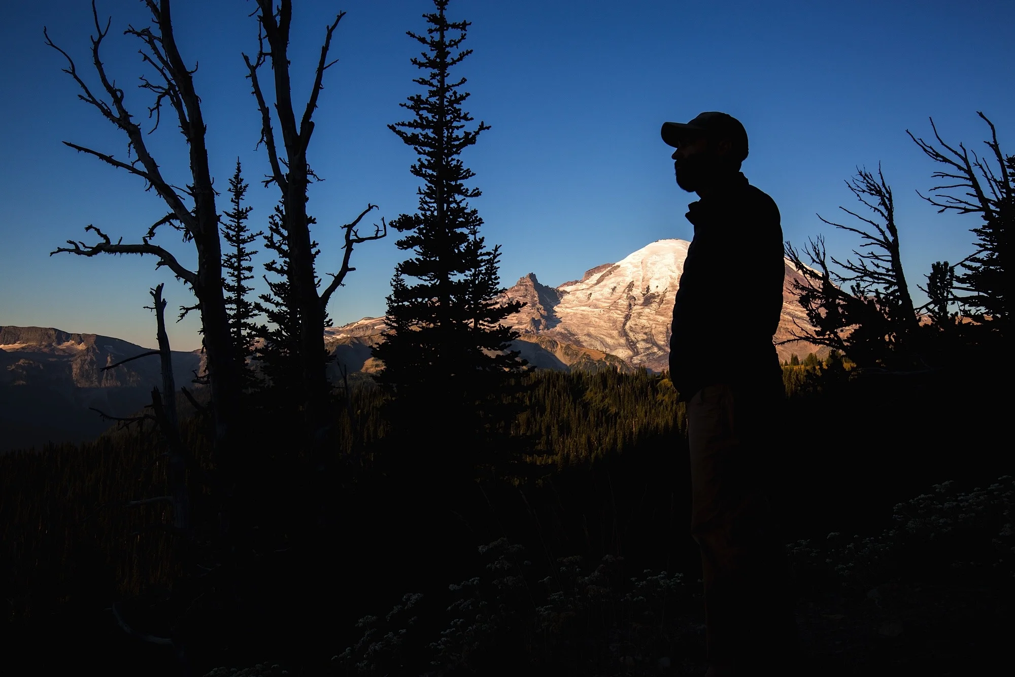 ARS_PNW_150813_6115