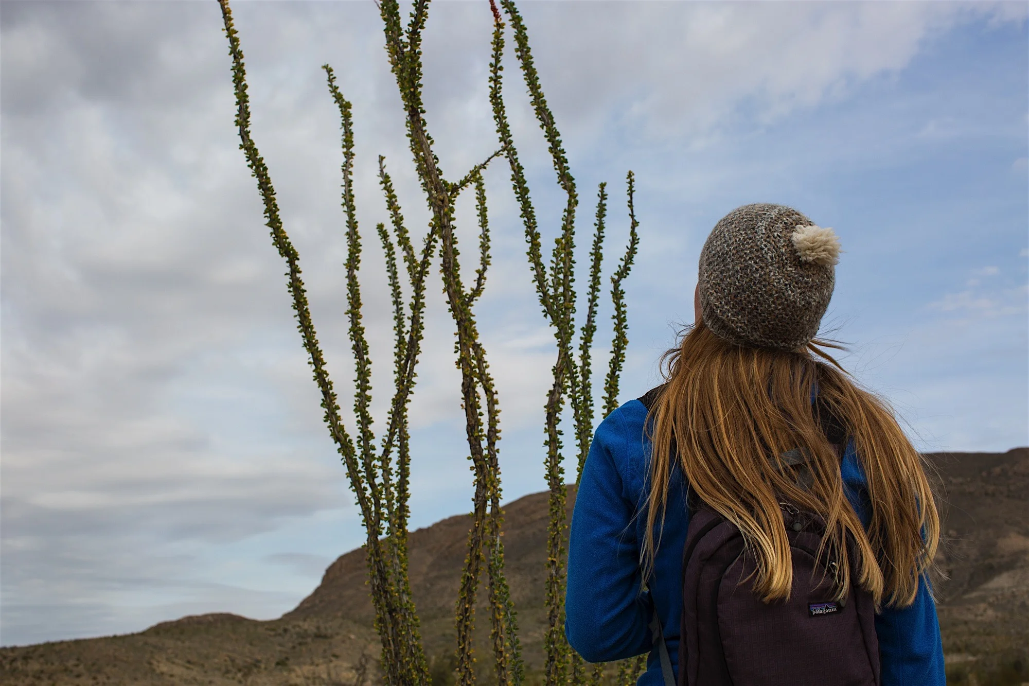 ARS_BBNP_20151112_0041
