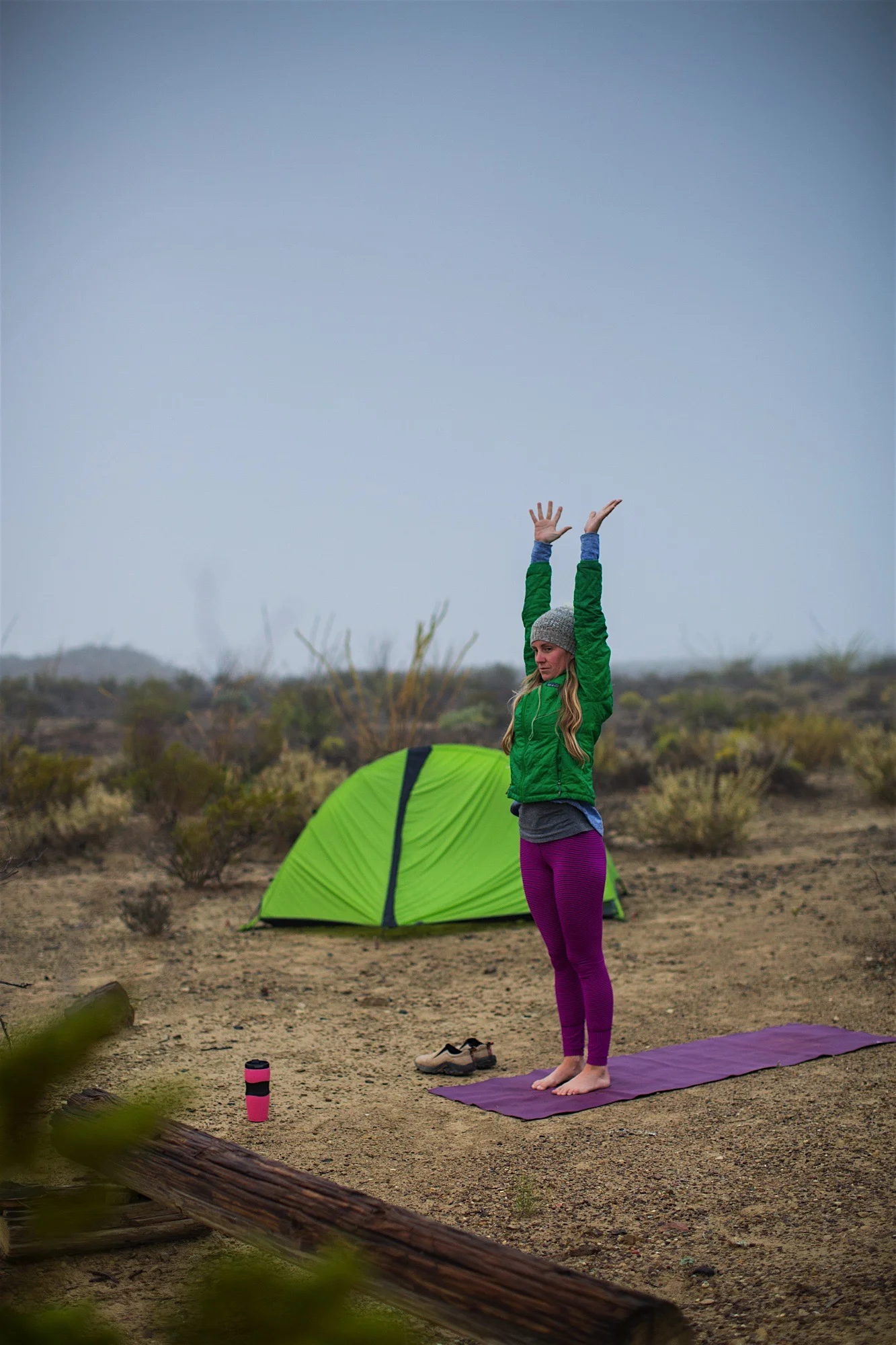 ARS_BBNP_20151115_1736