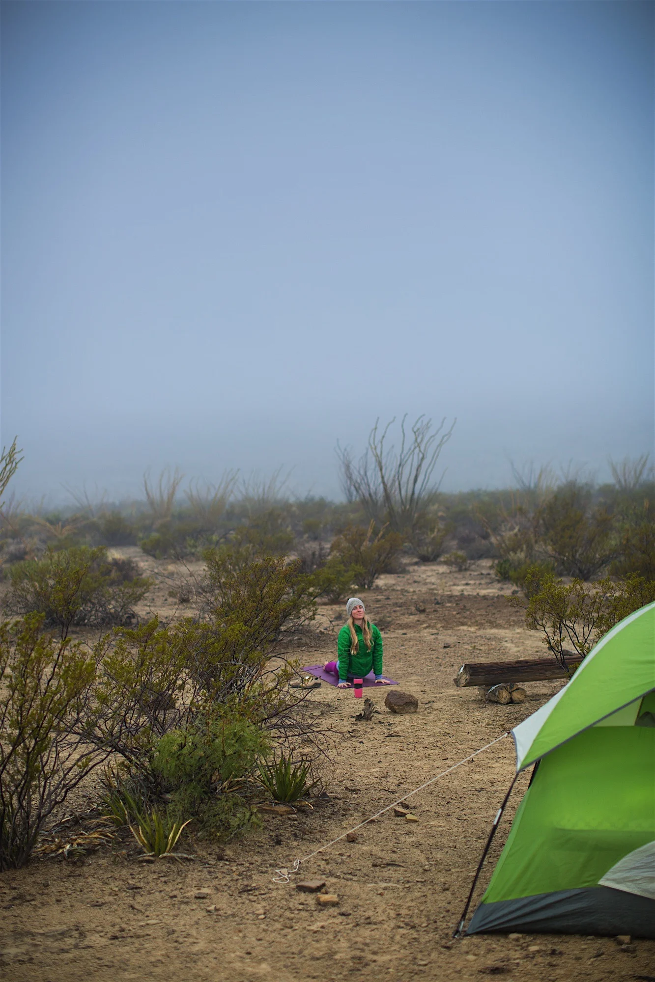 ARS_BBNP_20151115_1816