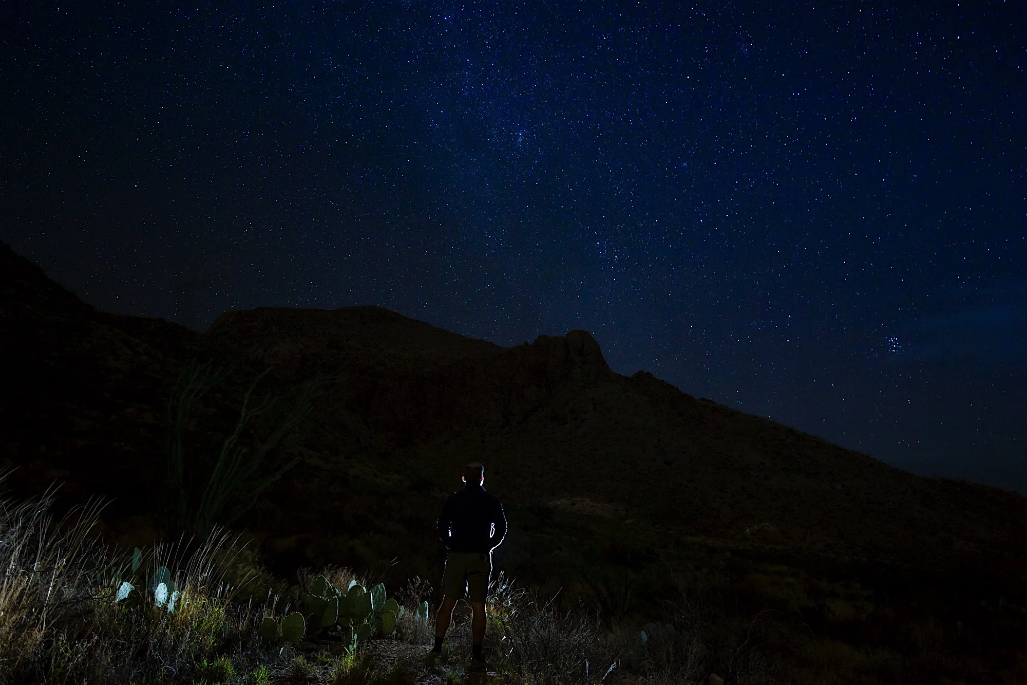 ARS_BBNP_20151116_2074