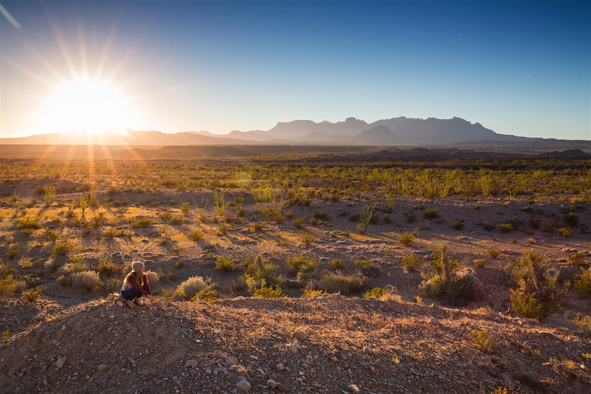 ARS_BBNP_20151118_9534
