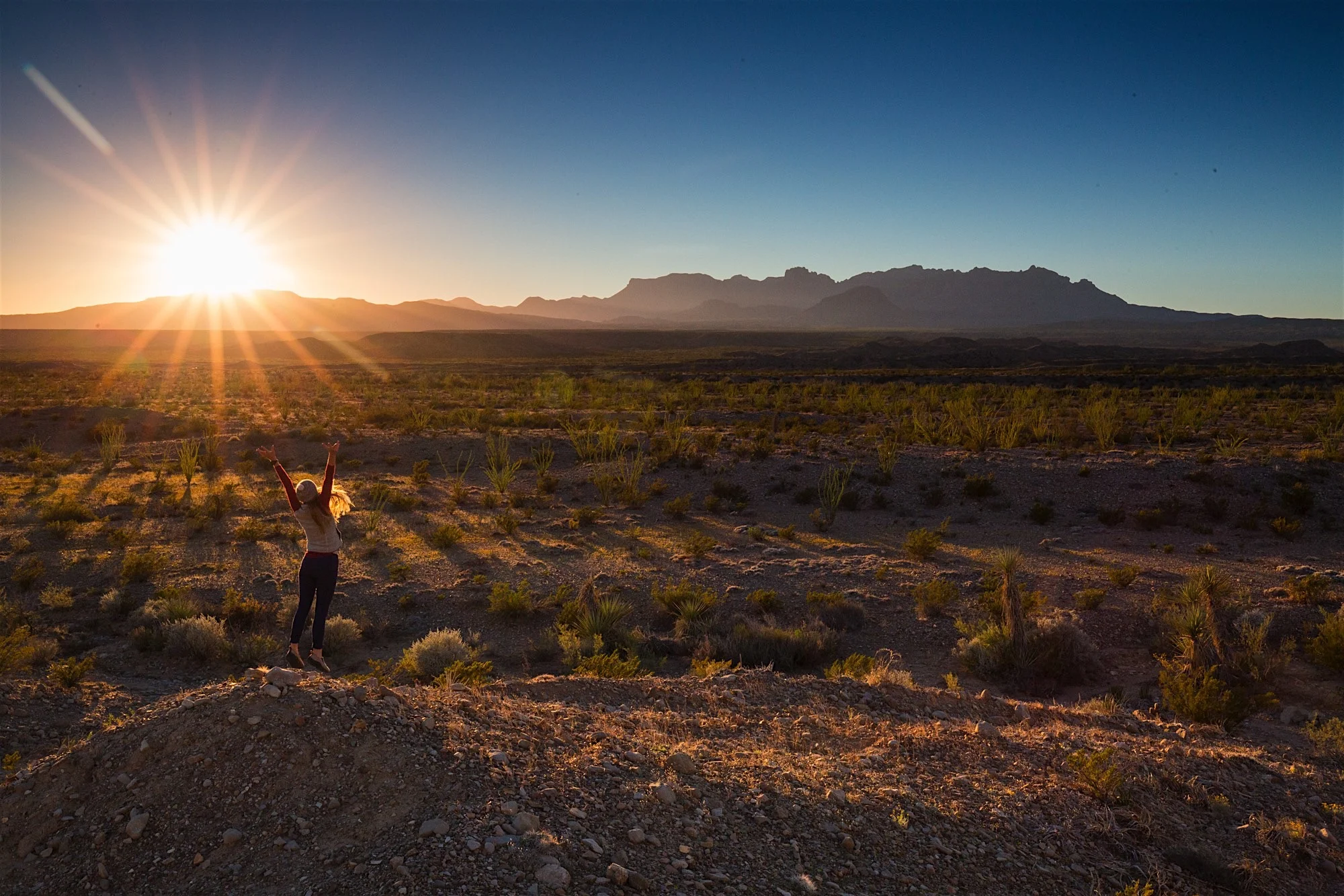 ARS_BBNP_20151118_9556